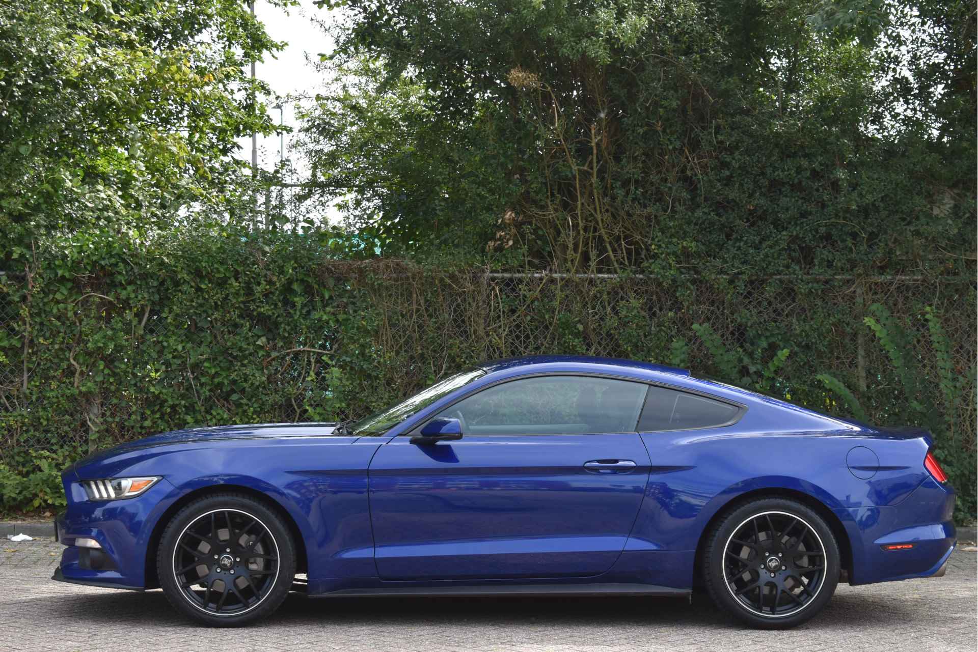 Ford Mustang Coupé 309 PK, VOL LEDER, CAMERA, BLUETOOTH, FULL LED / XENON, 19" VELGEN, NIEUWSTAAT - 4/56