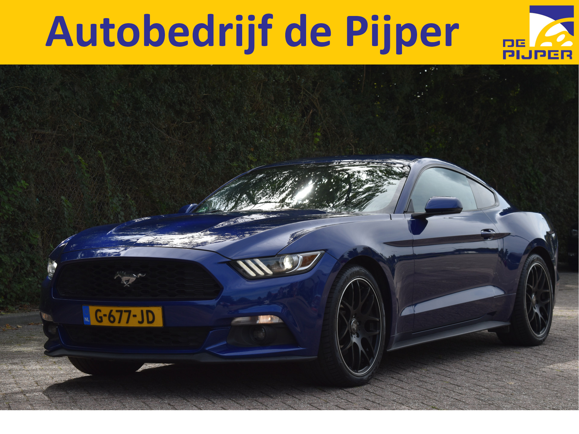 Ford Mustang Coupé 309 PK, VOL LEDER, CAMERA, BLUETOOTH, FULL LED / XENON, 19" VELGEN, NIEUWSTAAT