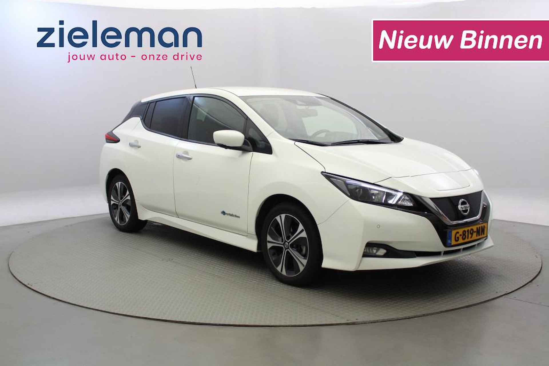 Nissan Leaf BOVAG 40-Puntencheck