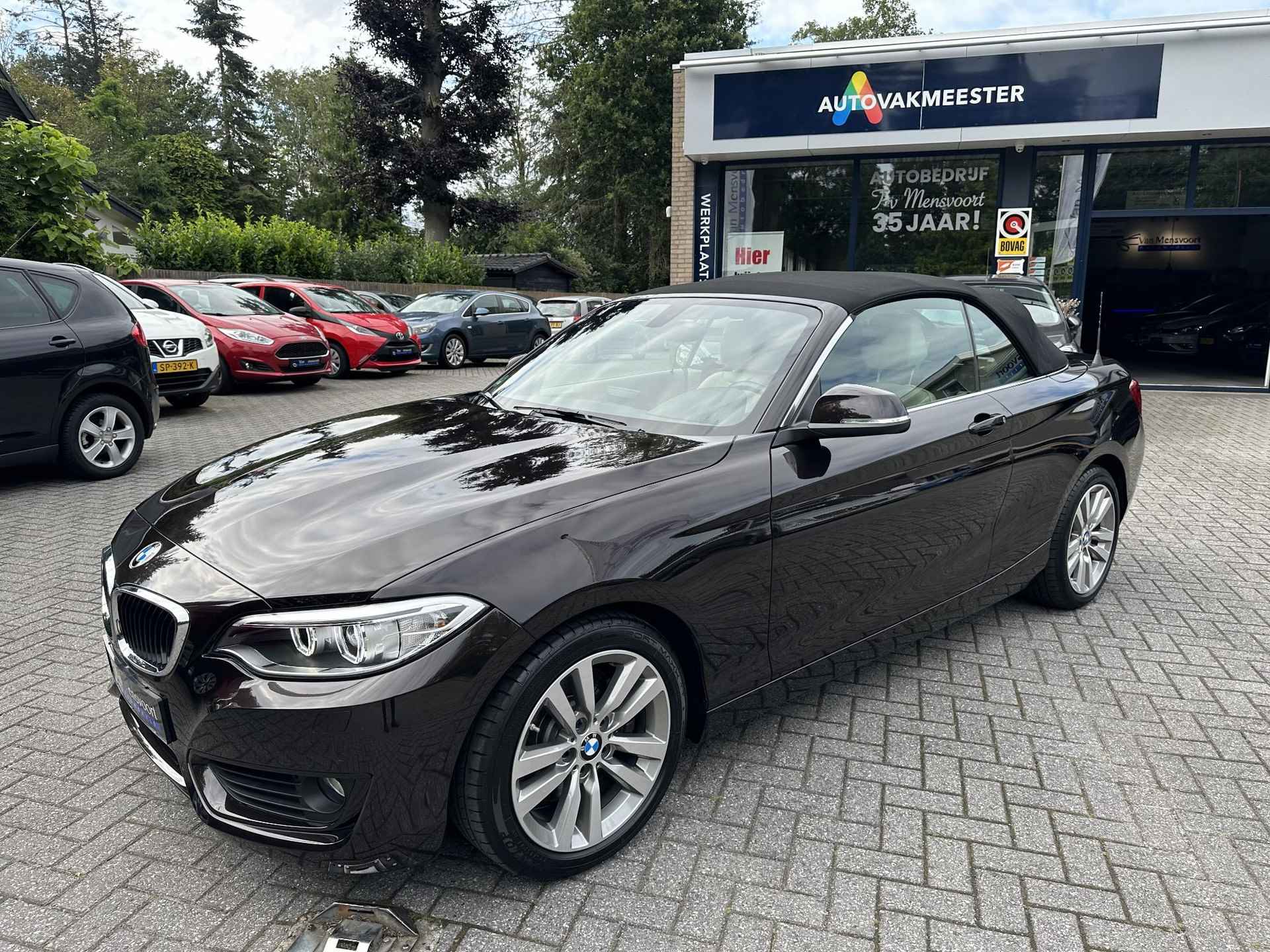 BMW 2-serie Cabrio 230i Automaat 252PK Executive 17dKM!|Navi|Keyless|Leder|Xenon - 31/35