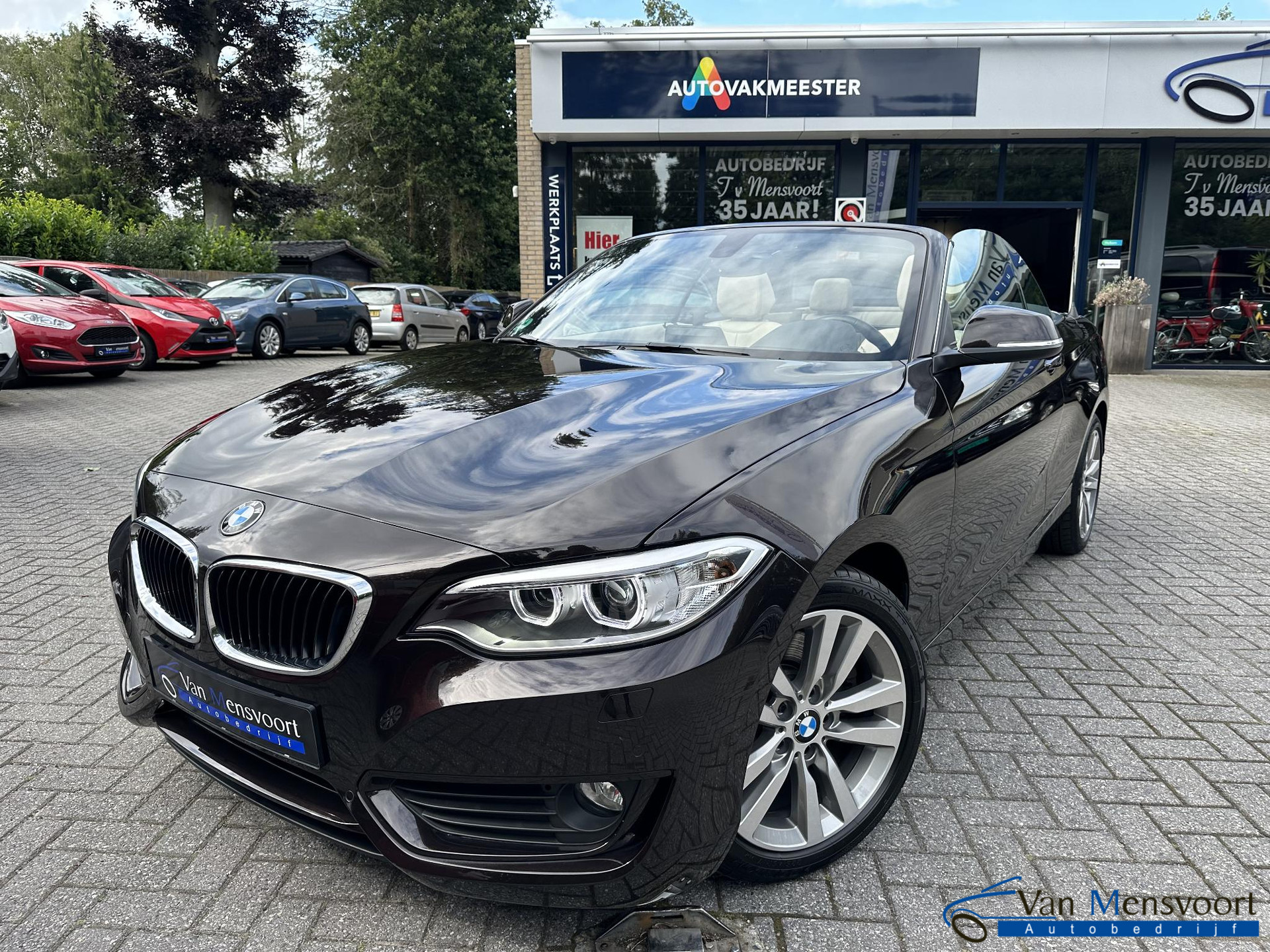 BMW 2-serie Cabrio 230i Automaat 252PK Executive 17dKM!|Navi|Keyless|Leder|Xenon