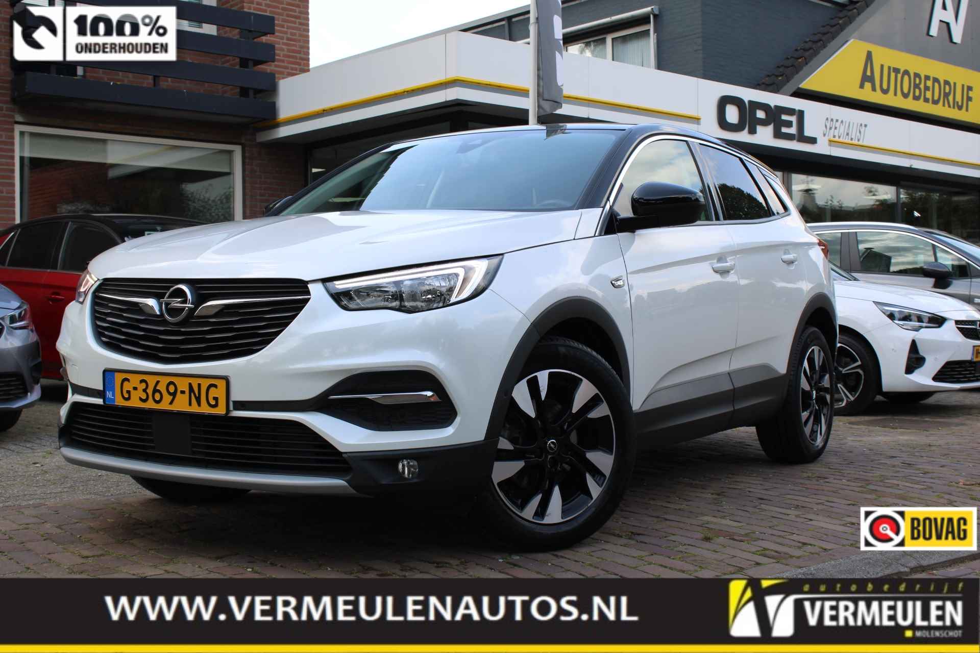 Opel Grandland X BOVAG 40-Puntencheck