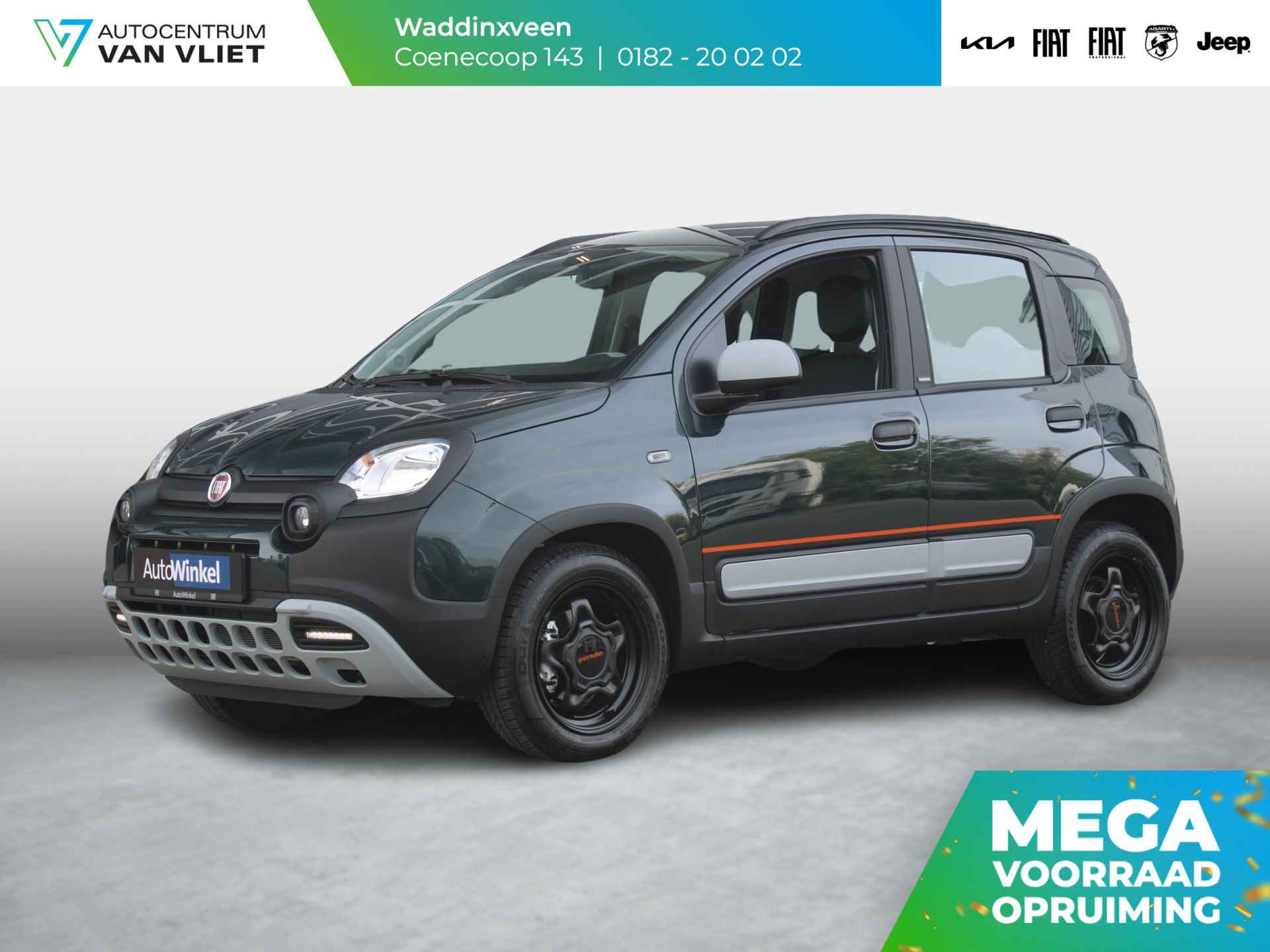 Fiat Panda BOVAG 40-Puntencheck