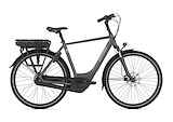 GAZELLE Paris C7+ HMB Heren Anthracite Grey Mat 65cm 2025