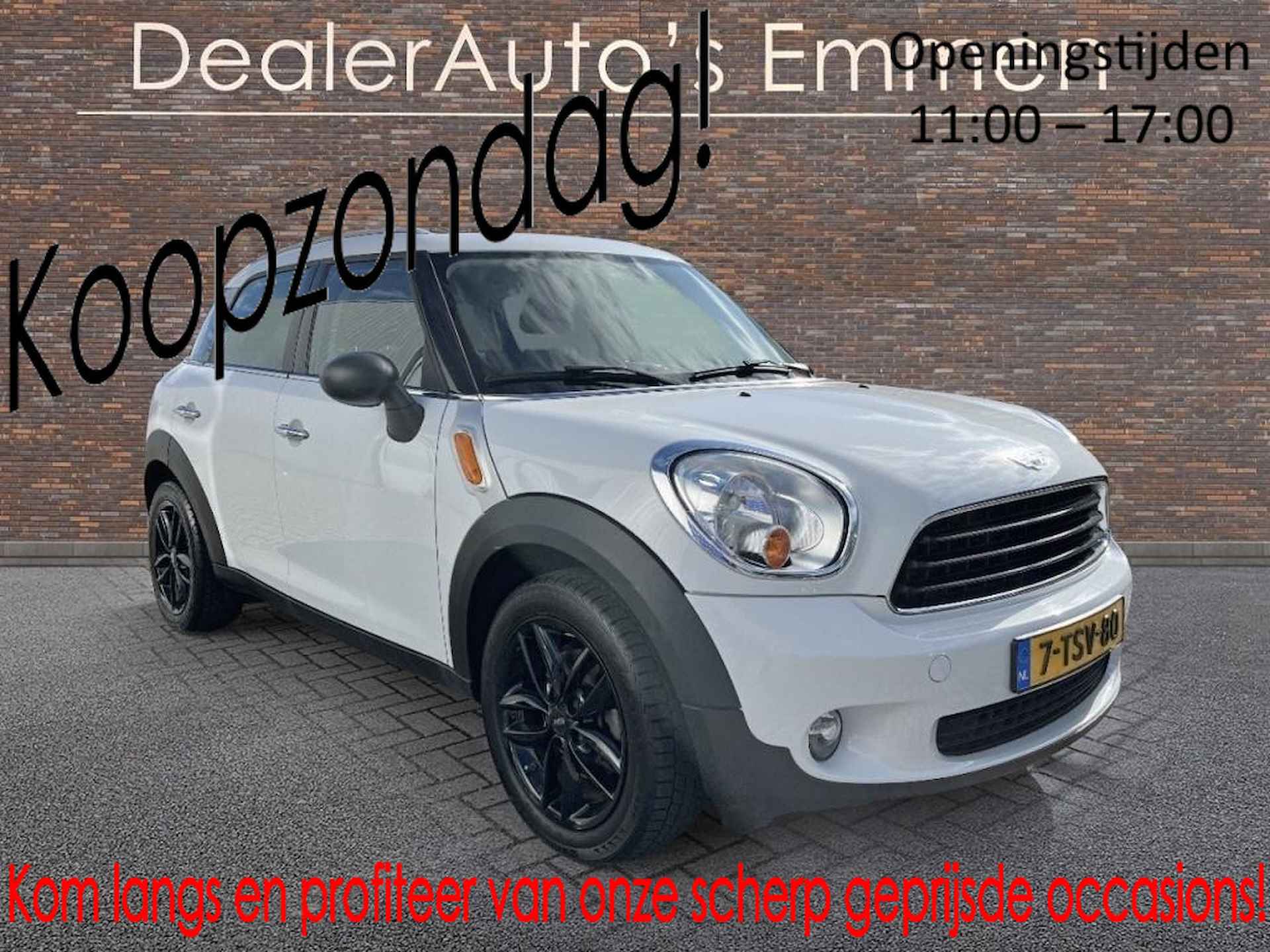 Mini Countryman BOVAG 40-Puntencheck