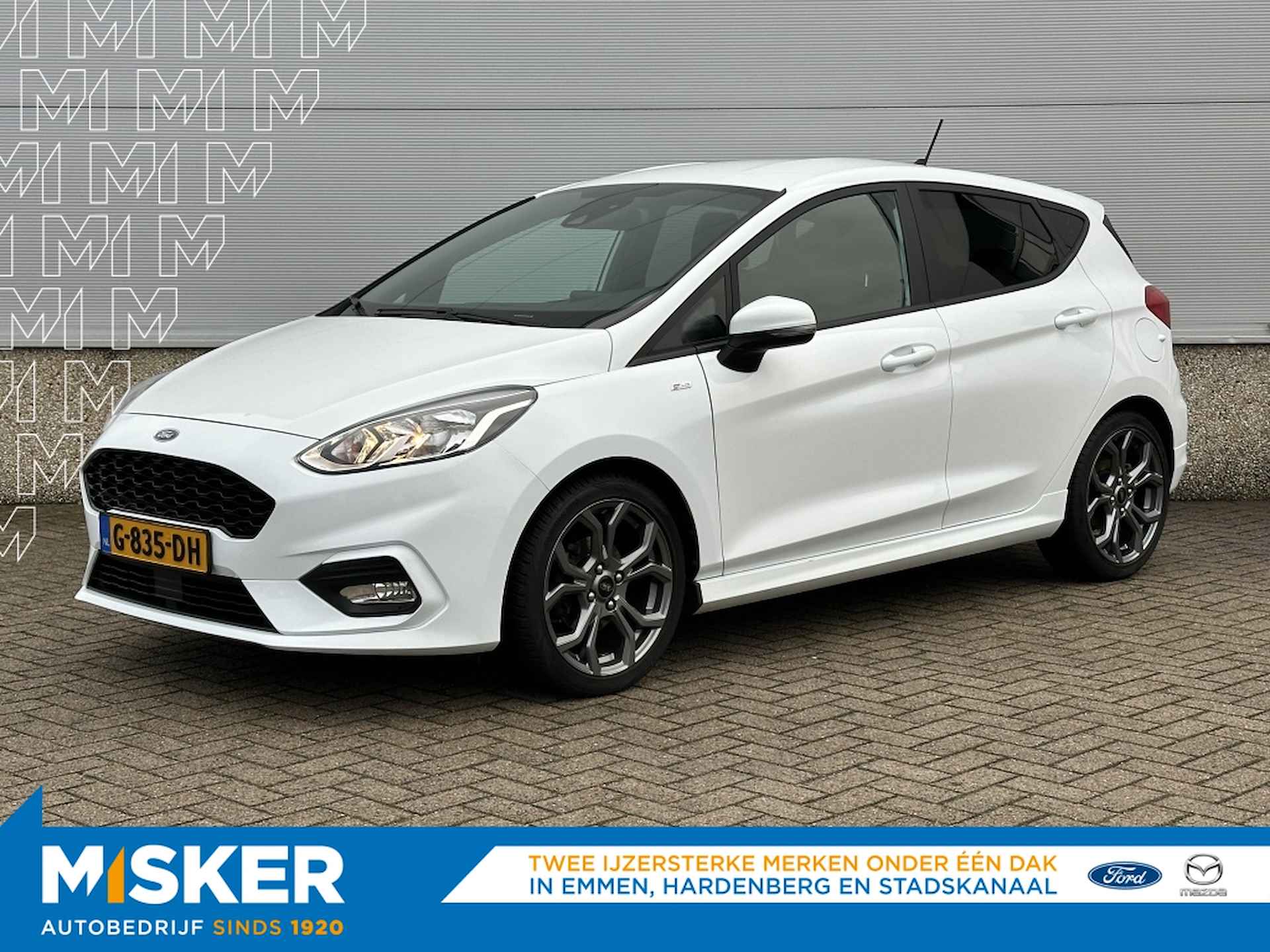 Ford Fiesta BOVAG 40-Puntencheck