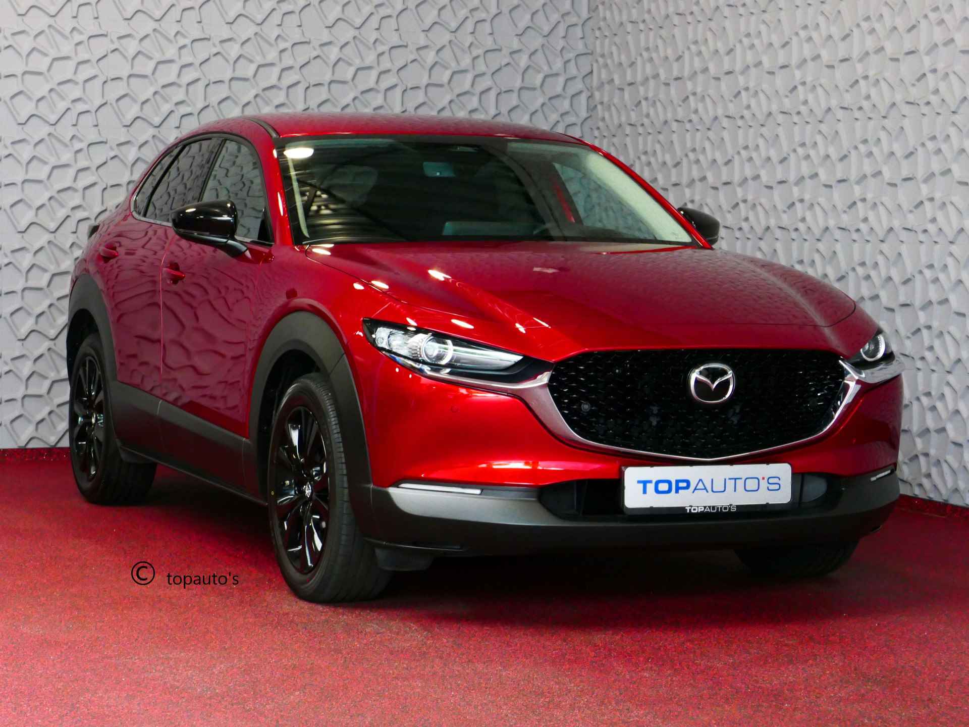 Mazda CX-30 BOVAG 40-Puntencheck