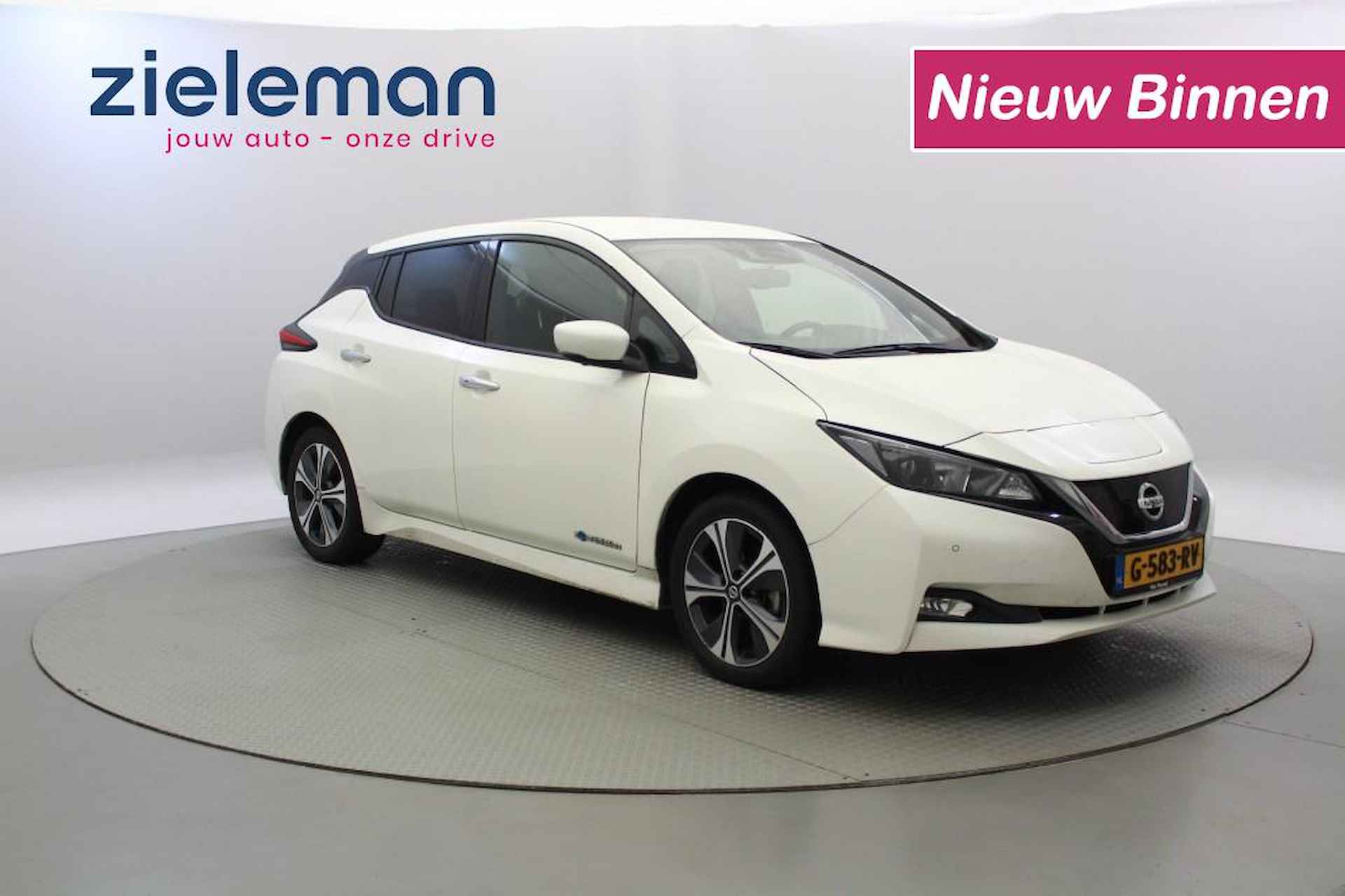 Nissan Leaf BOVAG 40-Puntencheck