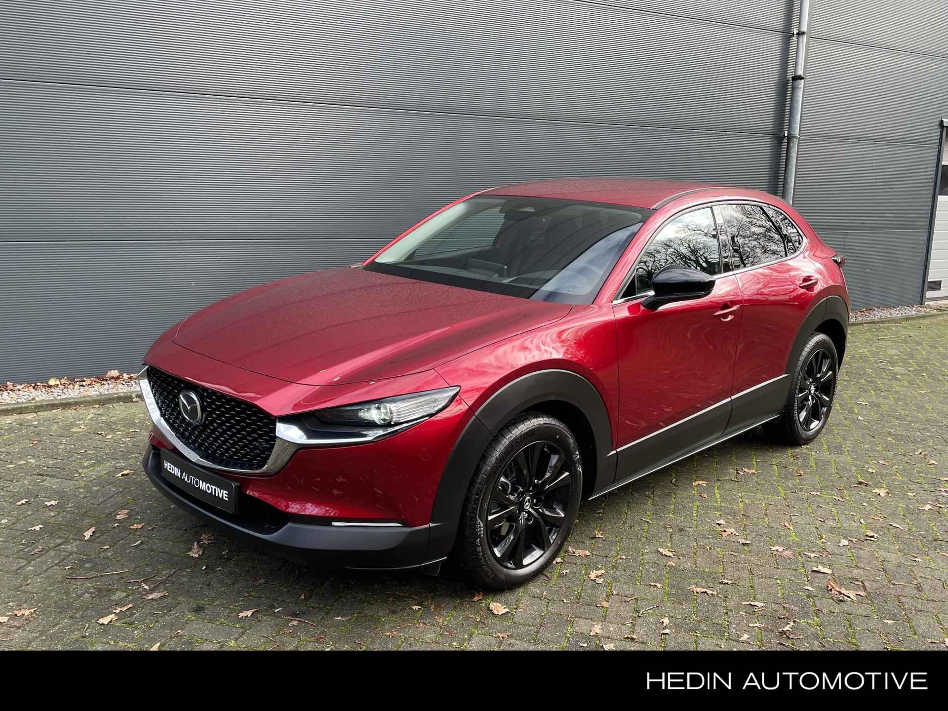 Mazda CX-30 BOVAG 40-Puntencheck