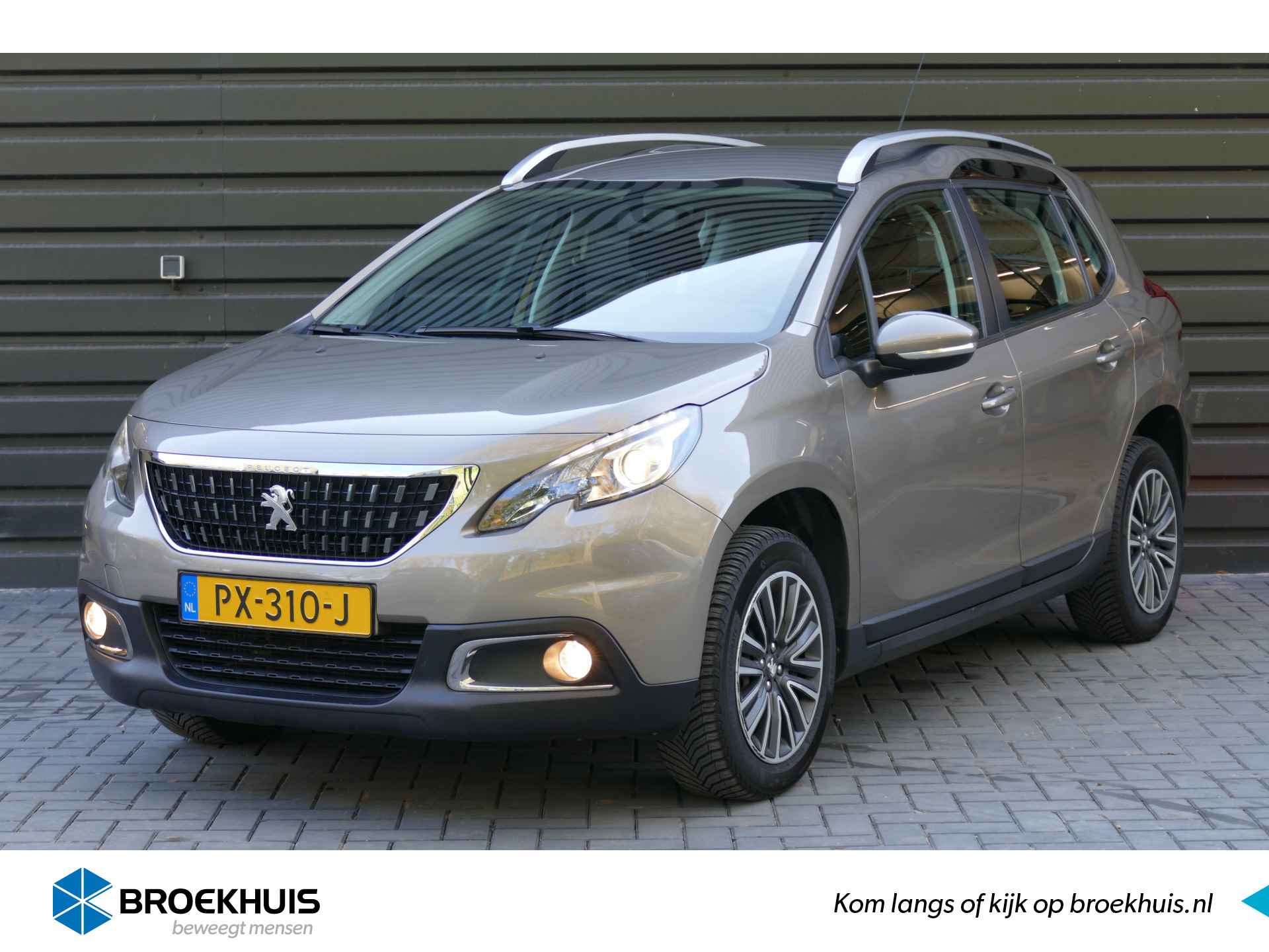 Peugeot 2008 BOVAG 40-Puntencheck