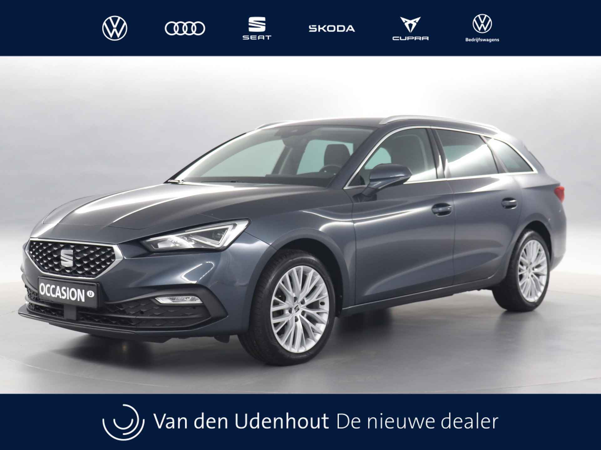 Seat Leon BOVAG 40-Puntencheck