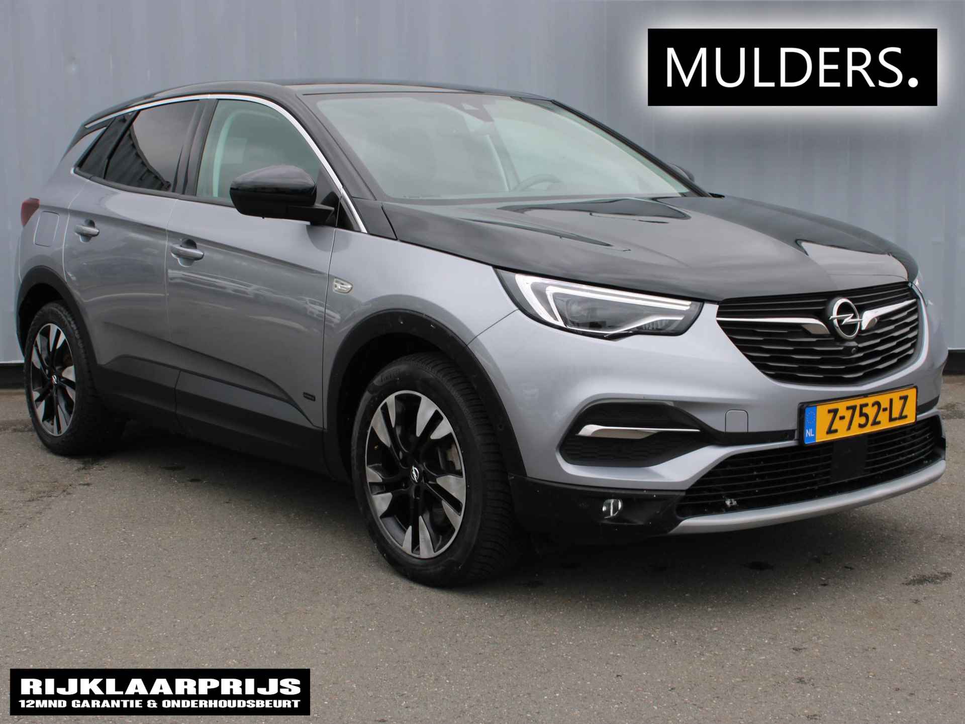 Opel Grandland X BOVAG 40-Puntencheck