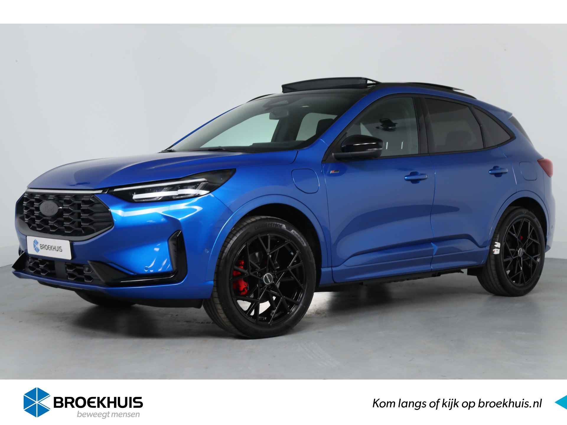 Ford Kuga BOVAG 40-Puntencheck