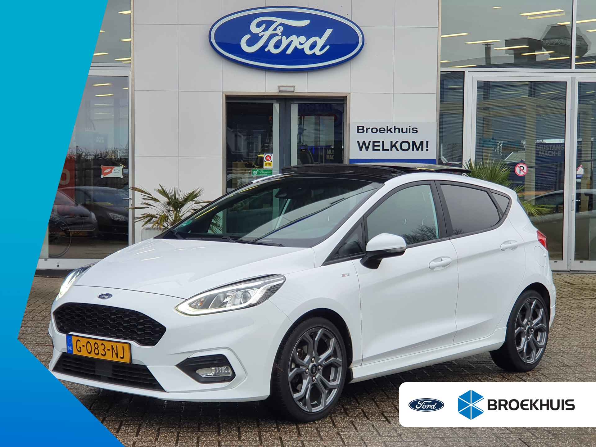 Ford Fiesta BOVAG 40-Puntencheck