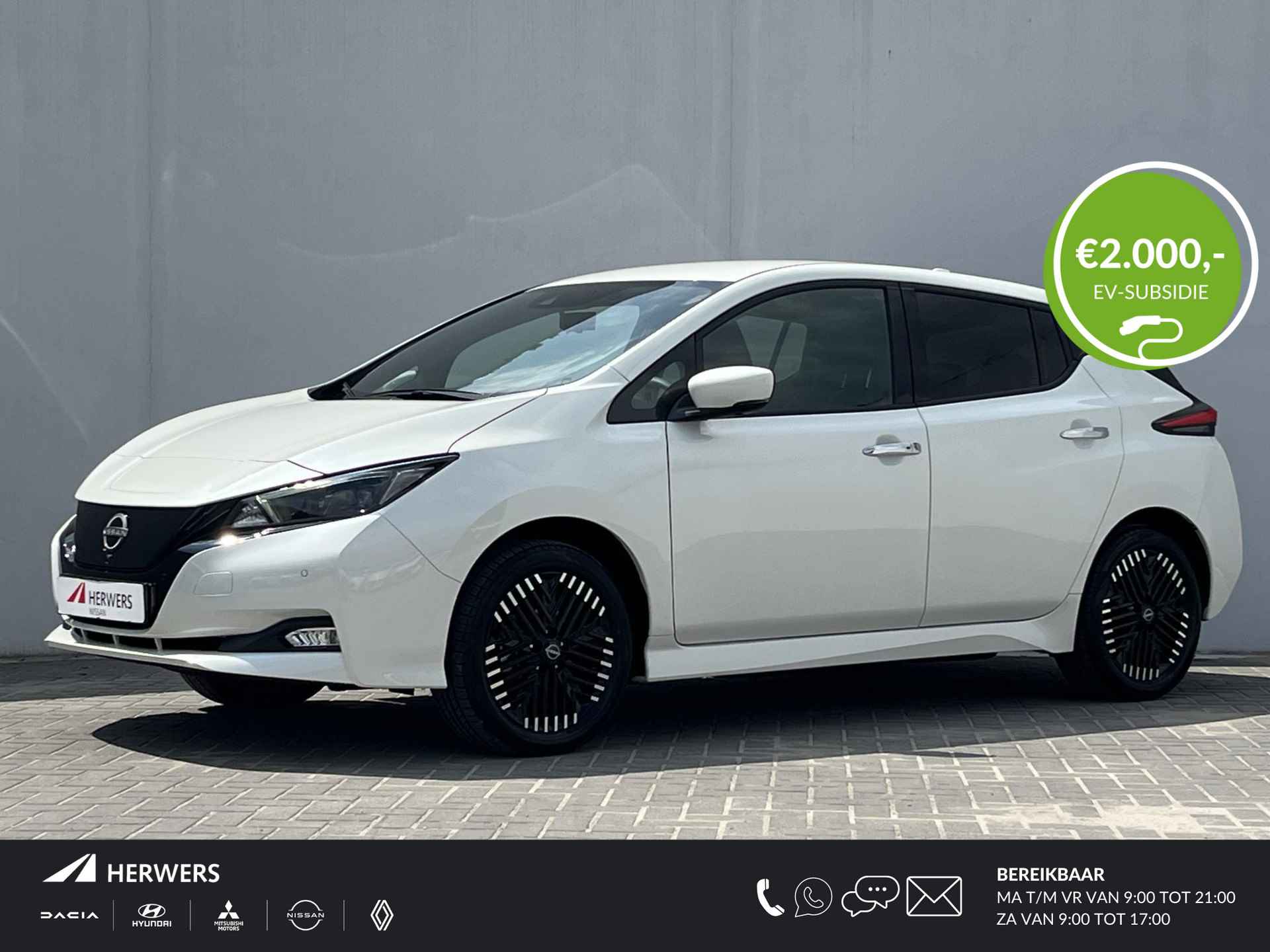 Nissan Leaf BOVAG 40-Puntencheck