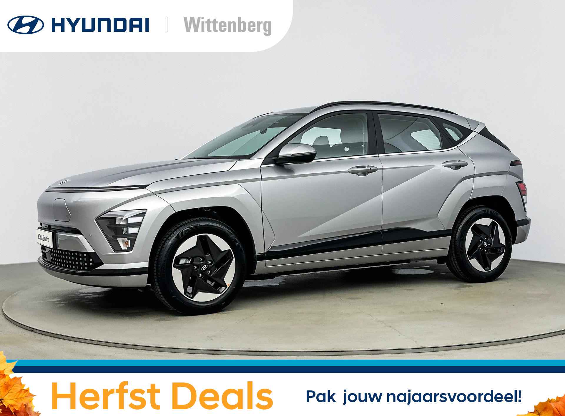 Hyundai Kona BOVAG 40-Puntencheck