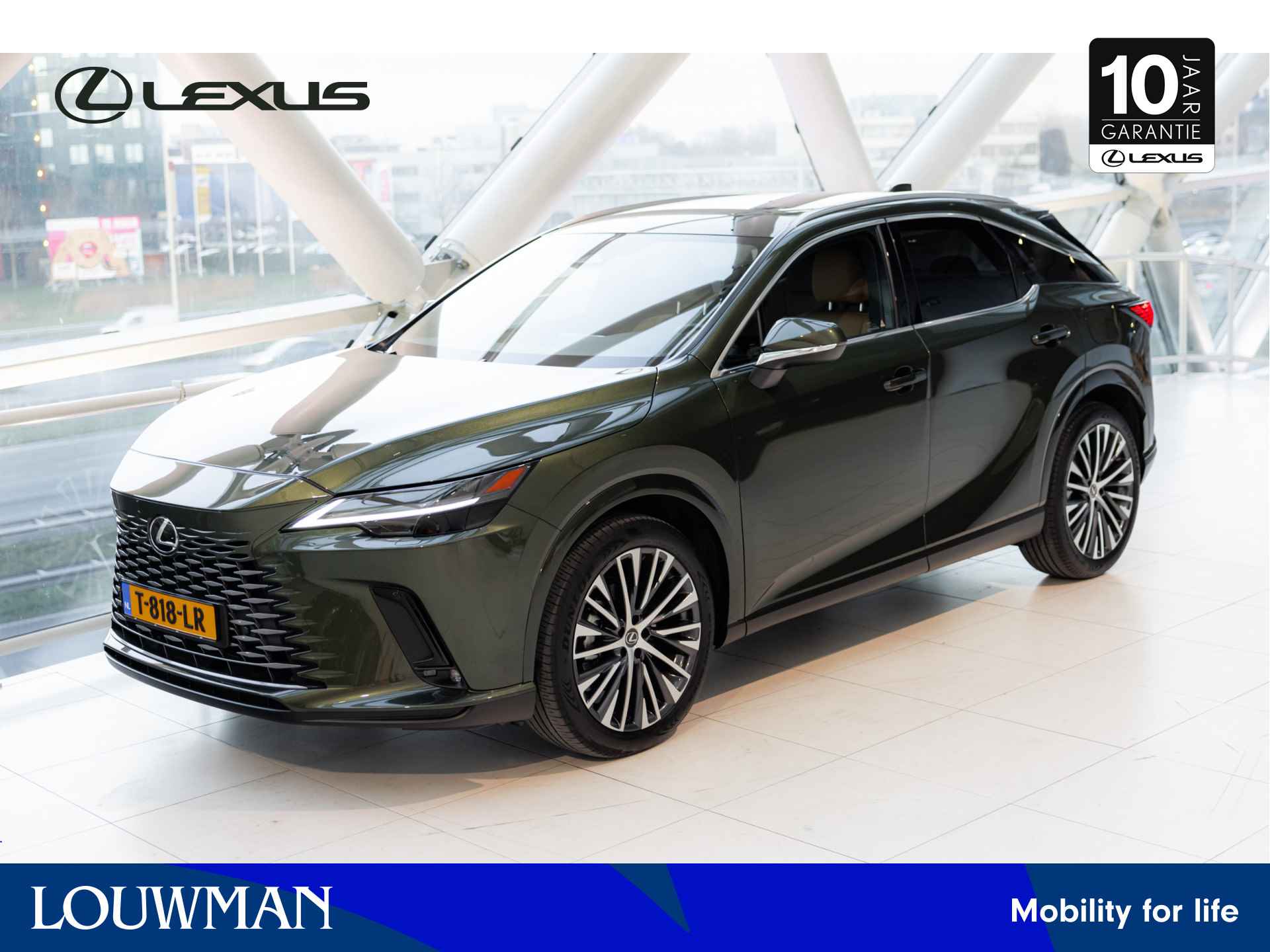 Lexus RX BOVAG 40-Puntencheck