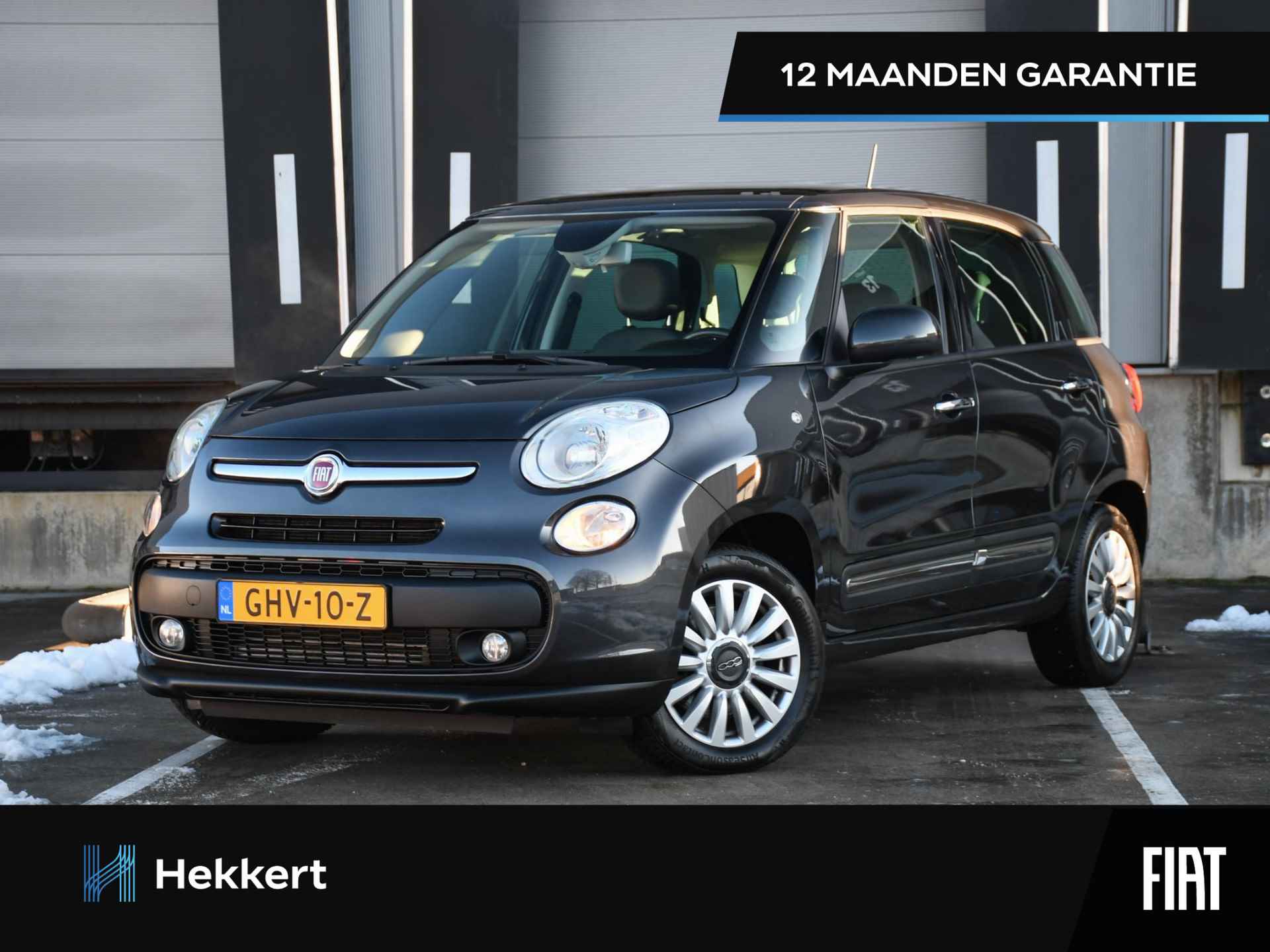 Fiat 500L BOVAG 40-Puntencheck