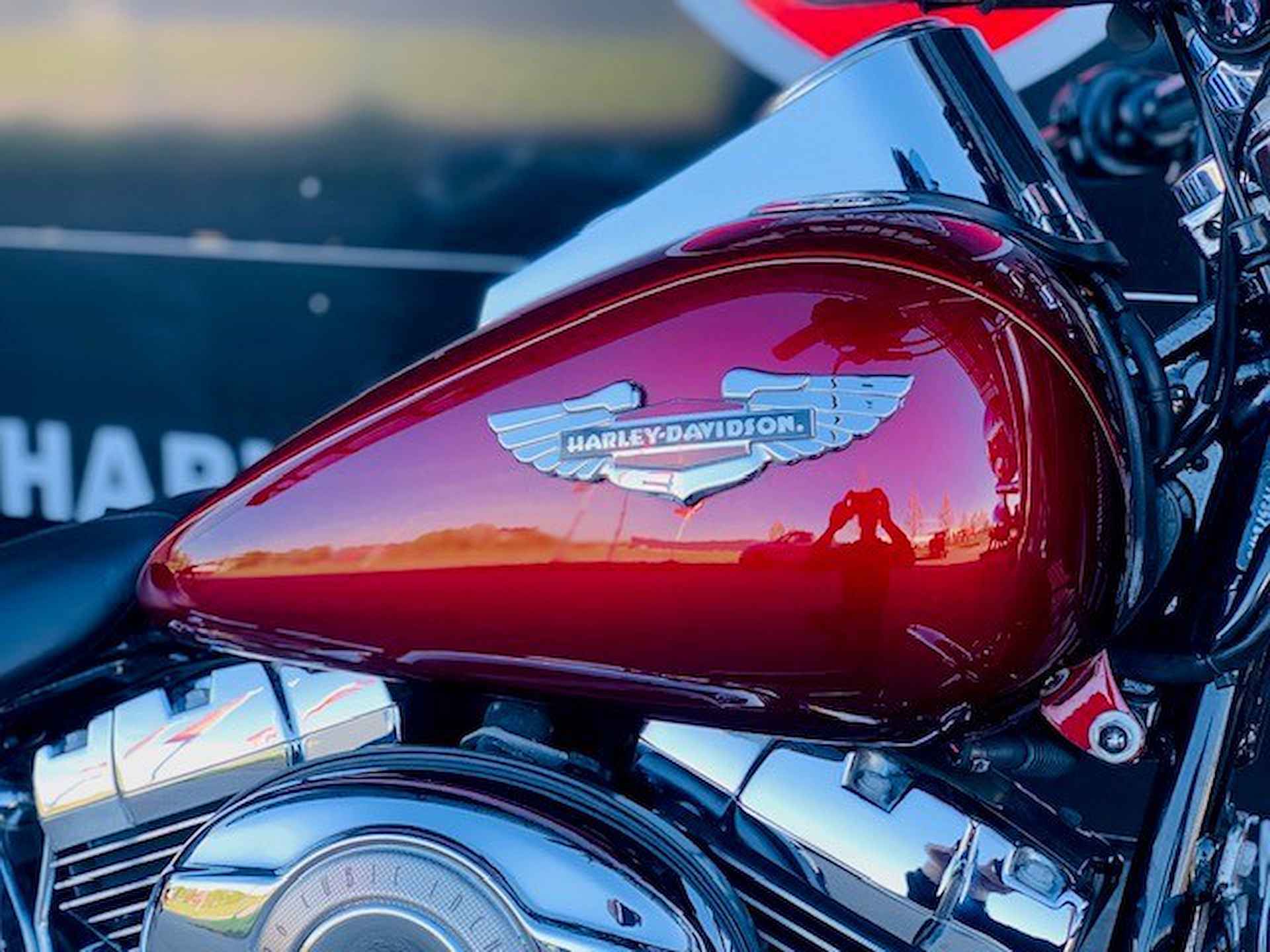 Harley-Davidson FLSTN SOFTAIL DE LUXE FLSTC - 9/16