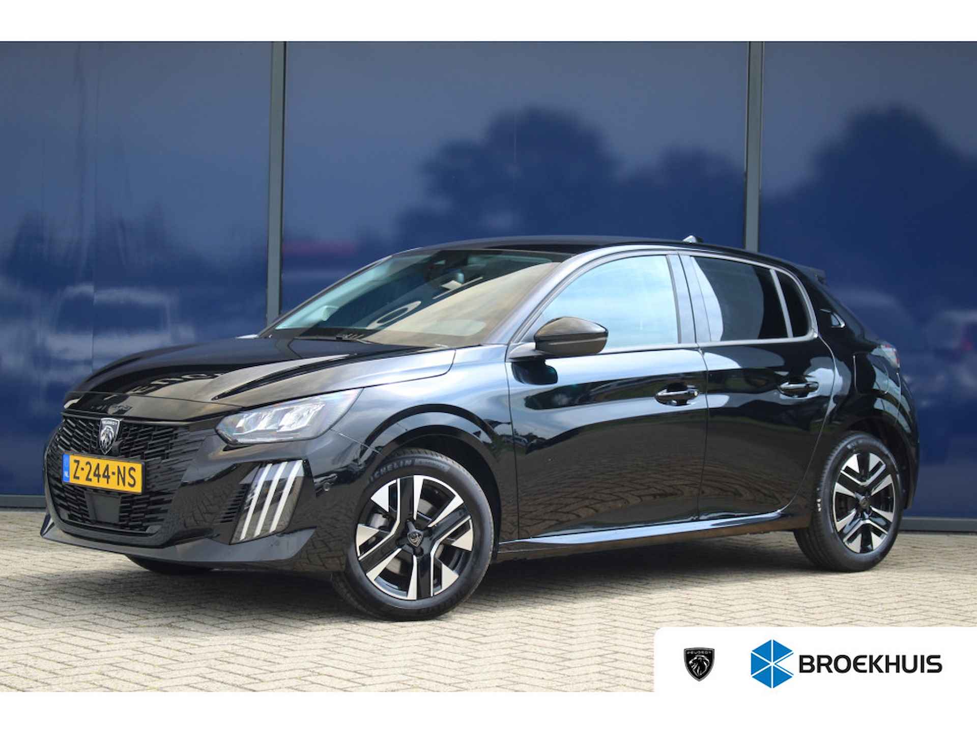 Peugeot 208 BOVAG 40-Puntencheck