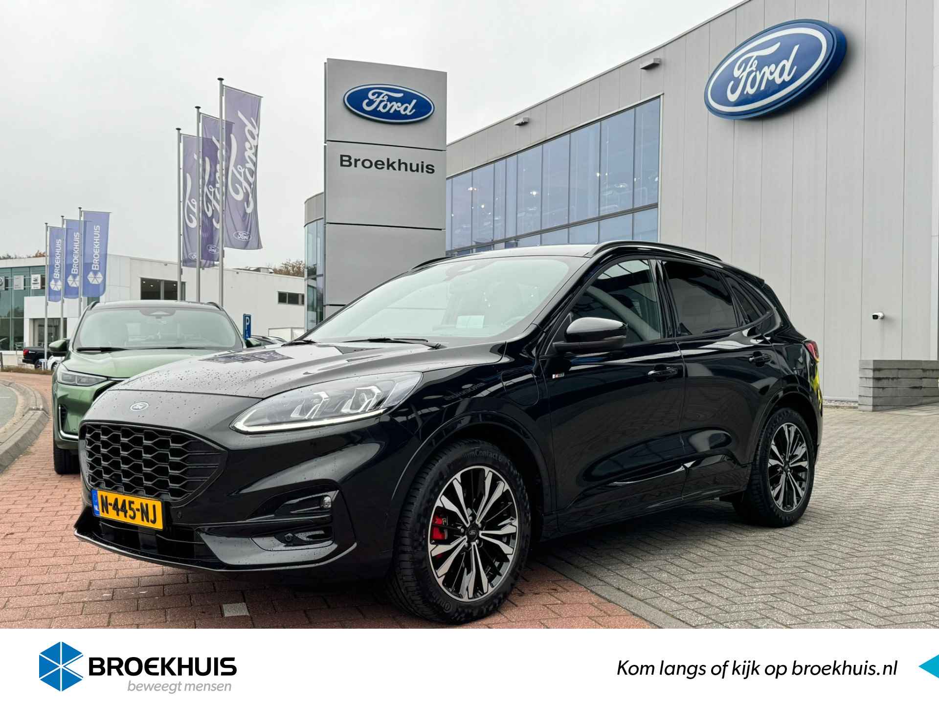 Ford Kuga BOVAG 40-Puntencheck