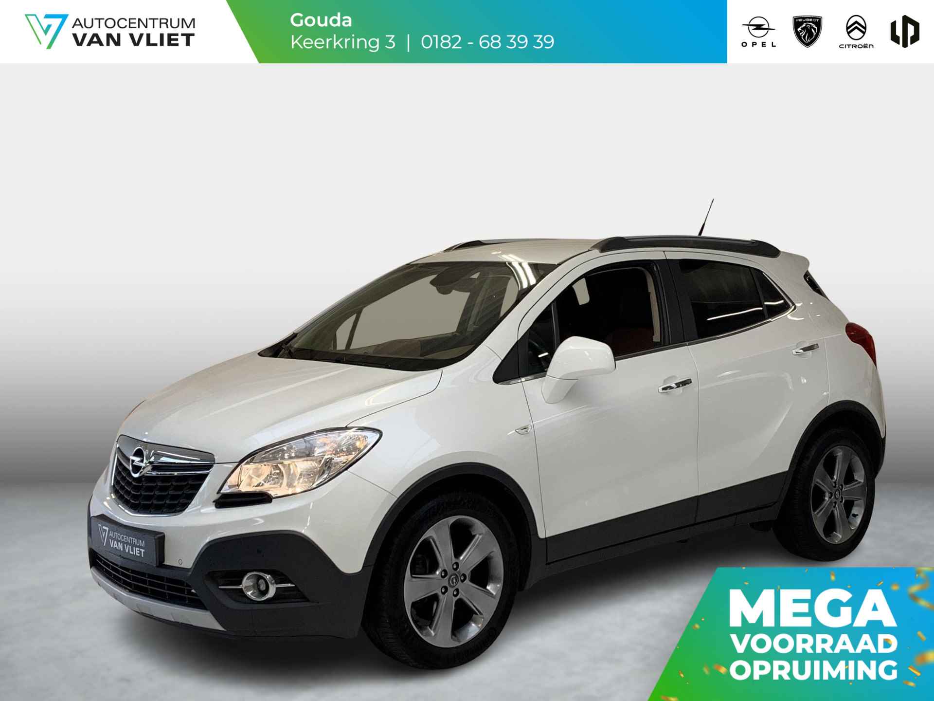 Opel Mokka BOVAG 40-Puntencheck