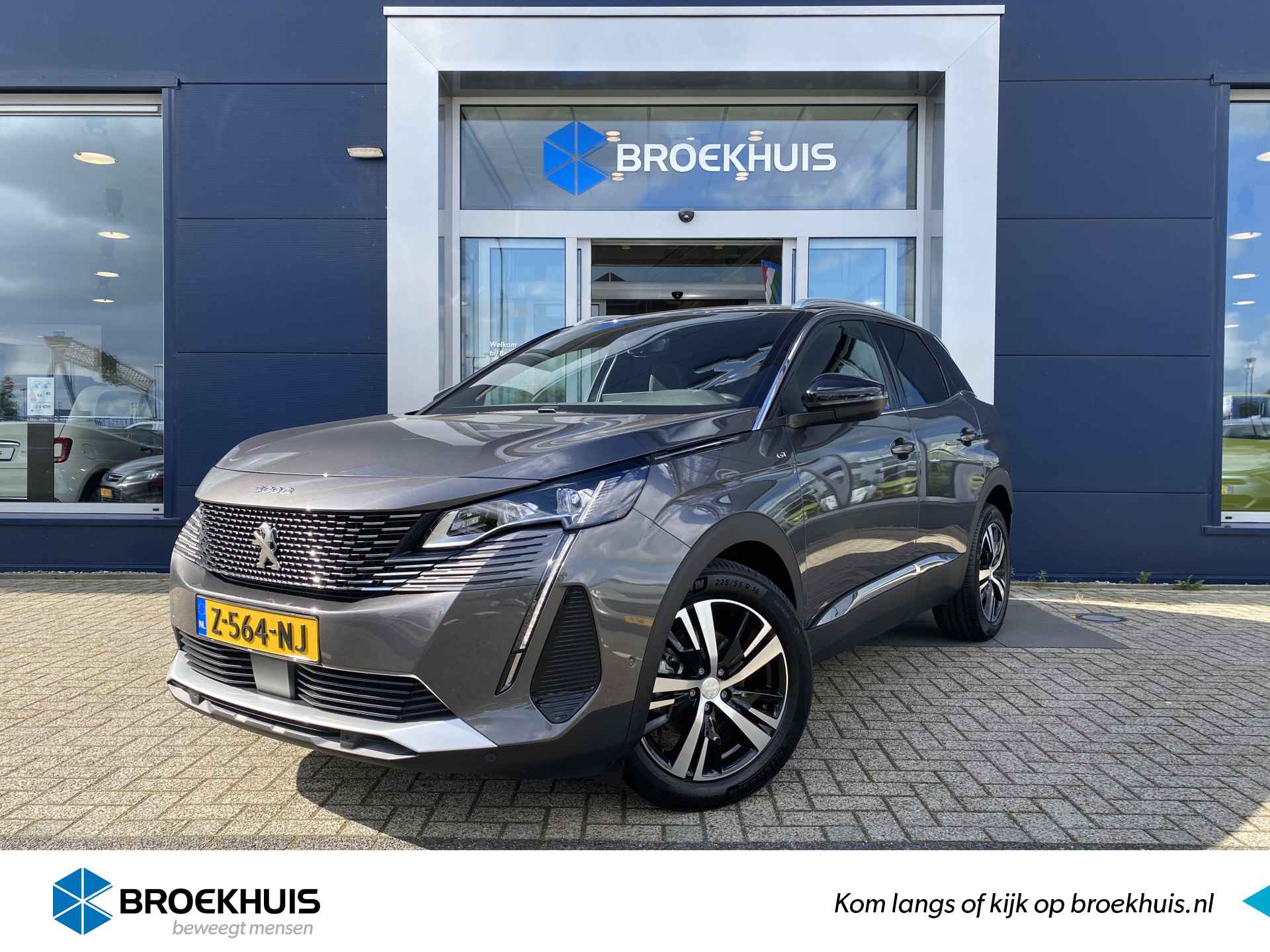 Peugeot 3008 BOVAG 40-Puntencheck