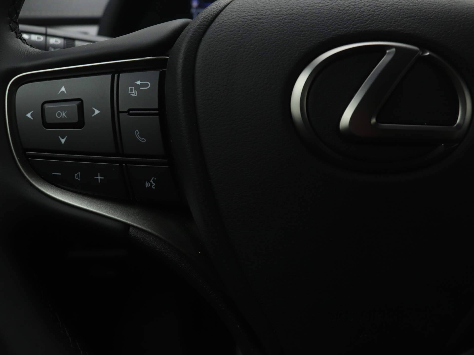 Lexus UX 250h Business Line *Demo* | Apple Carplay / Android Auto | - 16/38