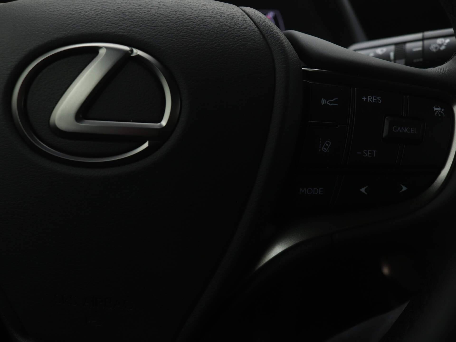 Lexus UX 250h Business Line *Demo* | Apple Carplay / Android Auto | - 17/38