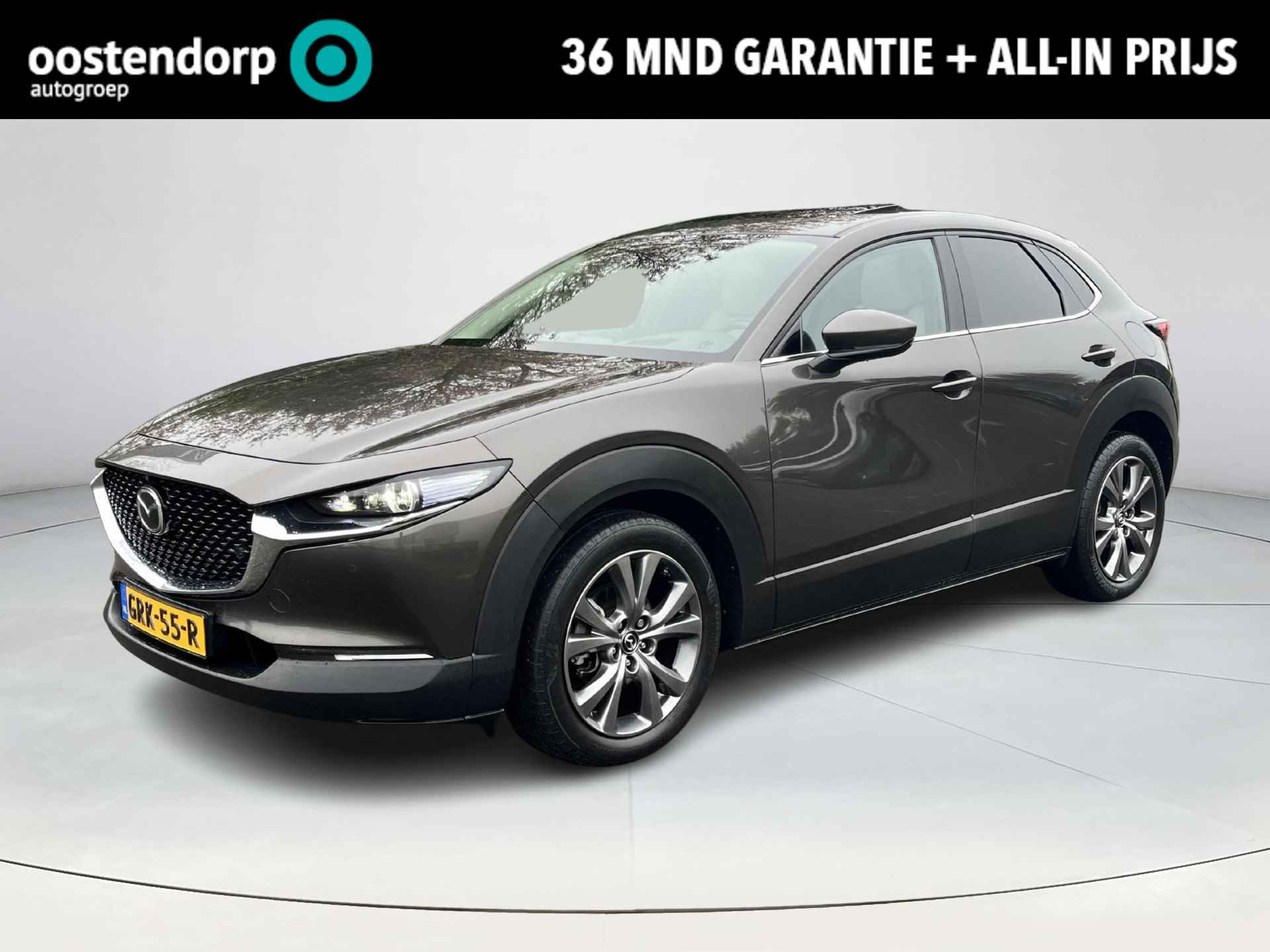 Mazda CX-30 BOVAG 40-Puntencheck