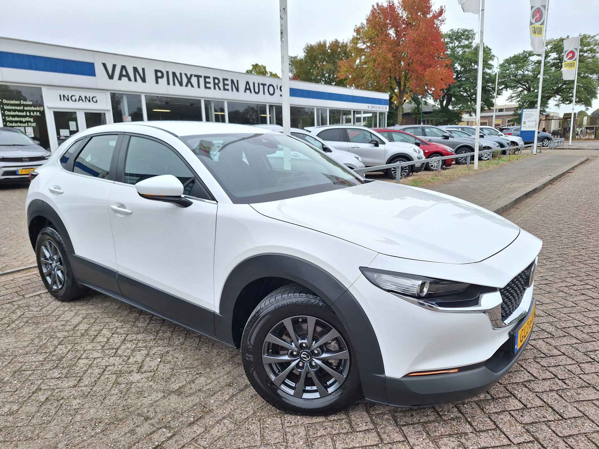 Mazda CX-30 BOVAG 40-Puntencheck