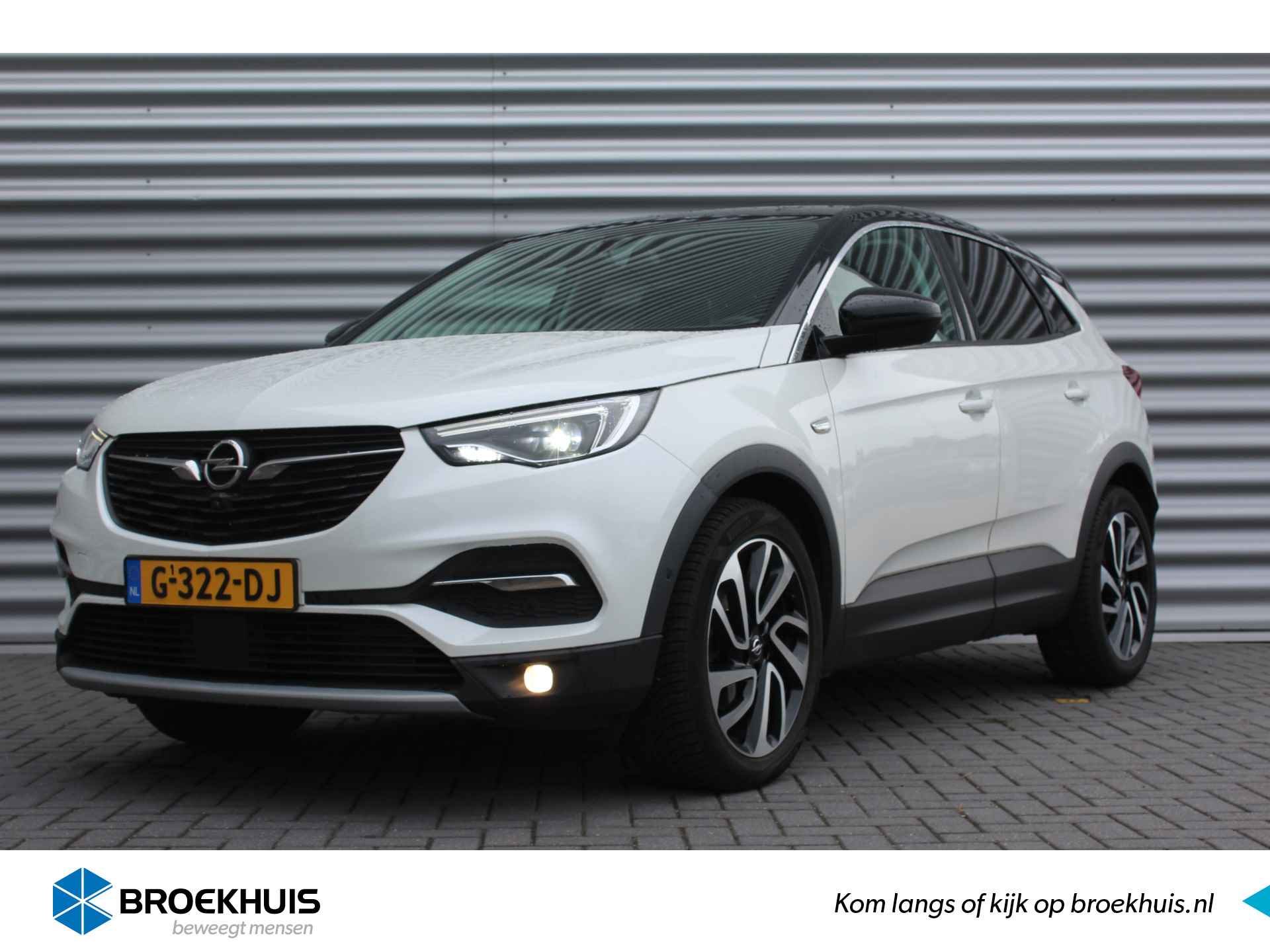 Opel Grandland X BOVAG 40-Puntencheck