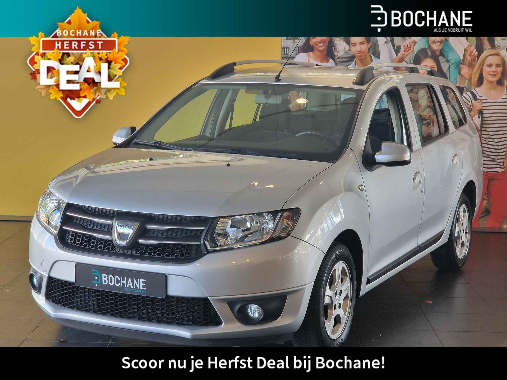 Dacia Logan BOVAG 40-Puntencheck