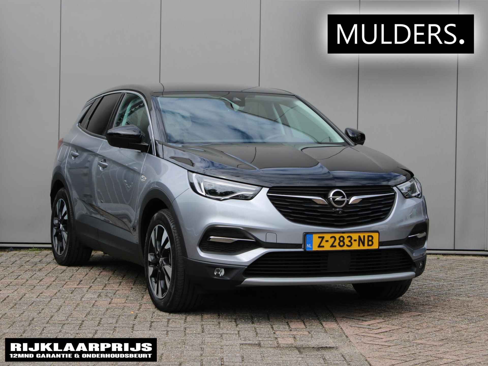 Opel Grandland X BOVAG 40-Puntencheck