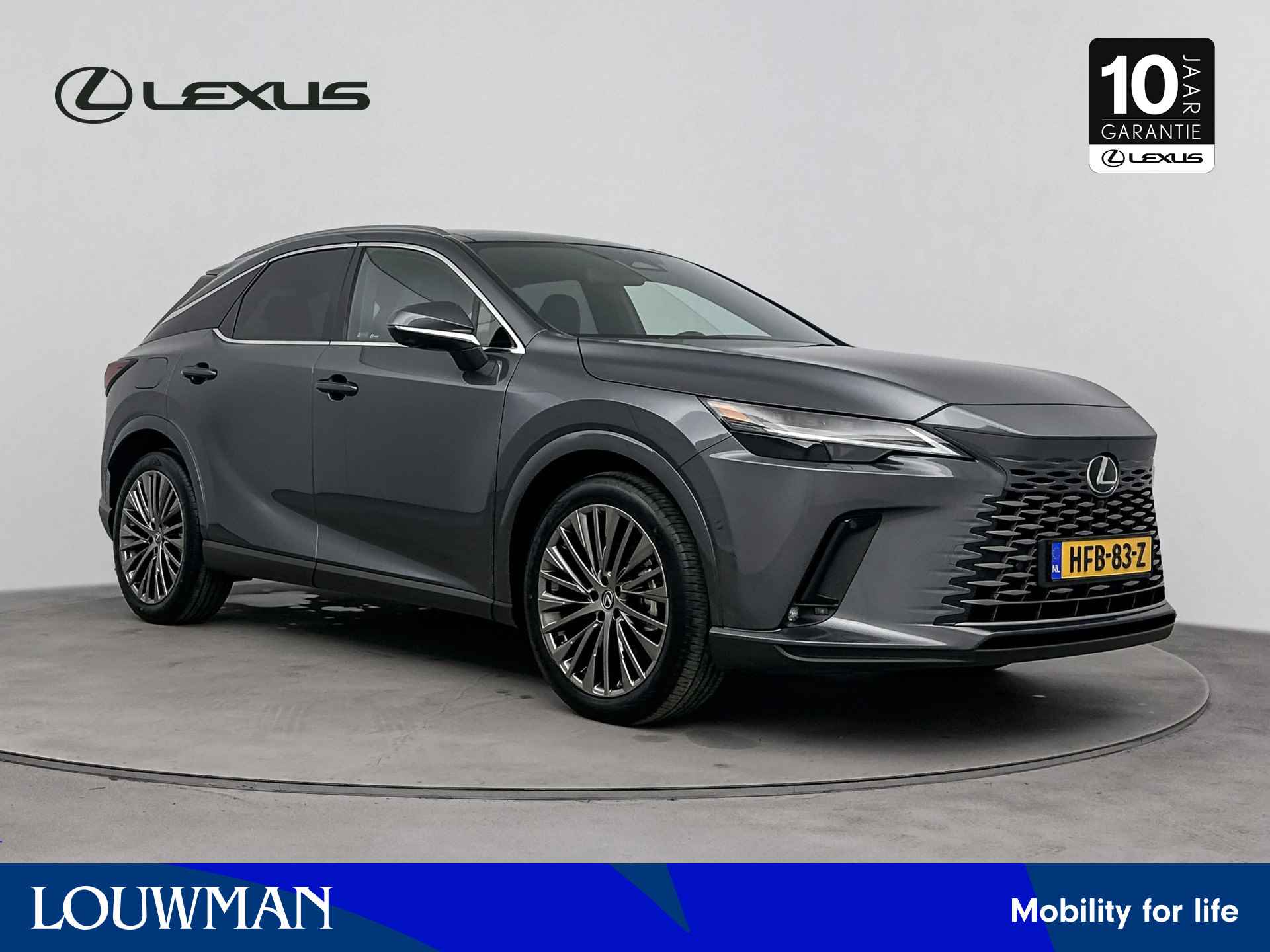 Lexus RX BOVAG 40-Puntencheck