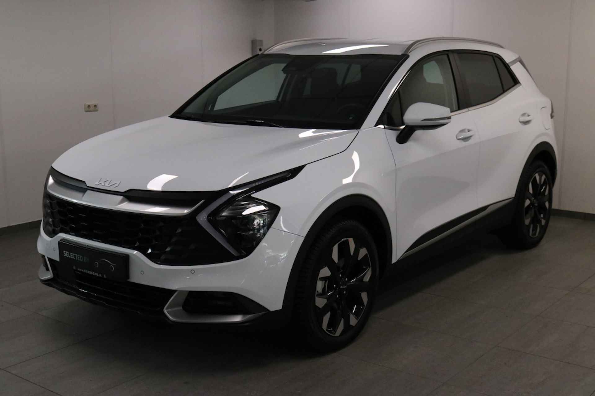 Kia Sportage BOVAG 40-Puntencheck