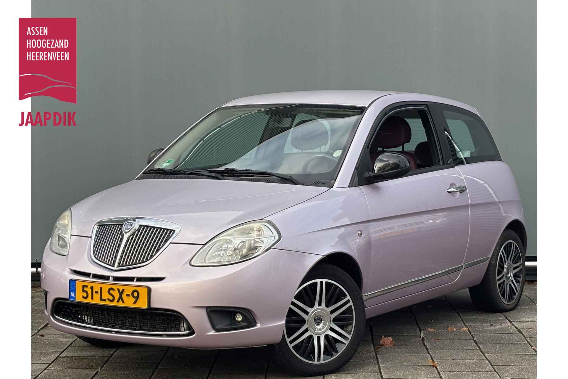 Lancia Ypsilon BOVAG 40-Puntencheck