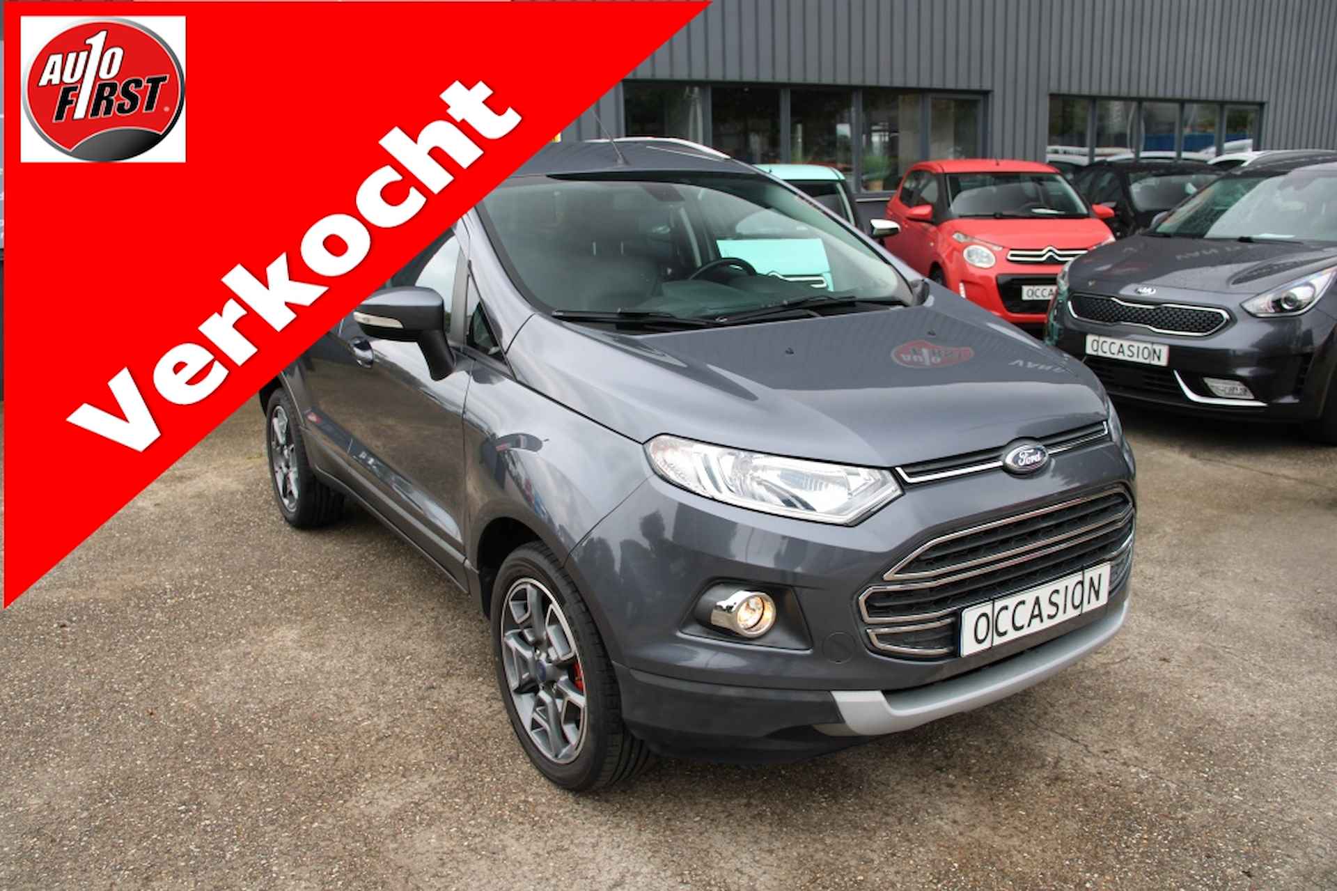 Ford EcoSport BOVAG 40-Puntencheck