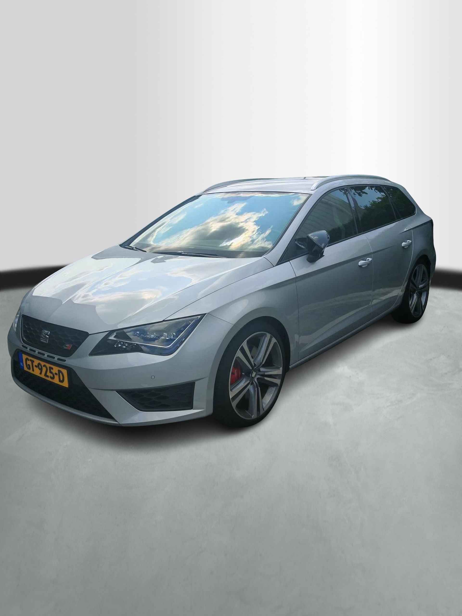 Seat Leon BOVAG 40-Puntencheck