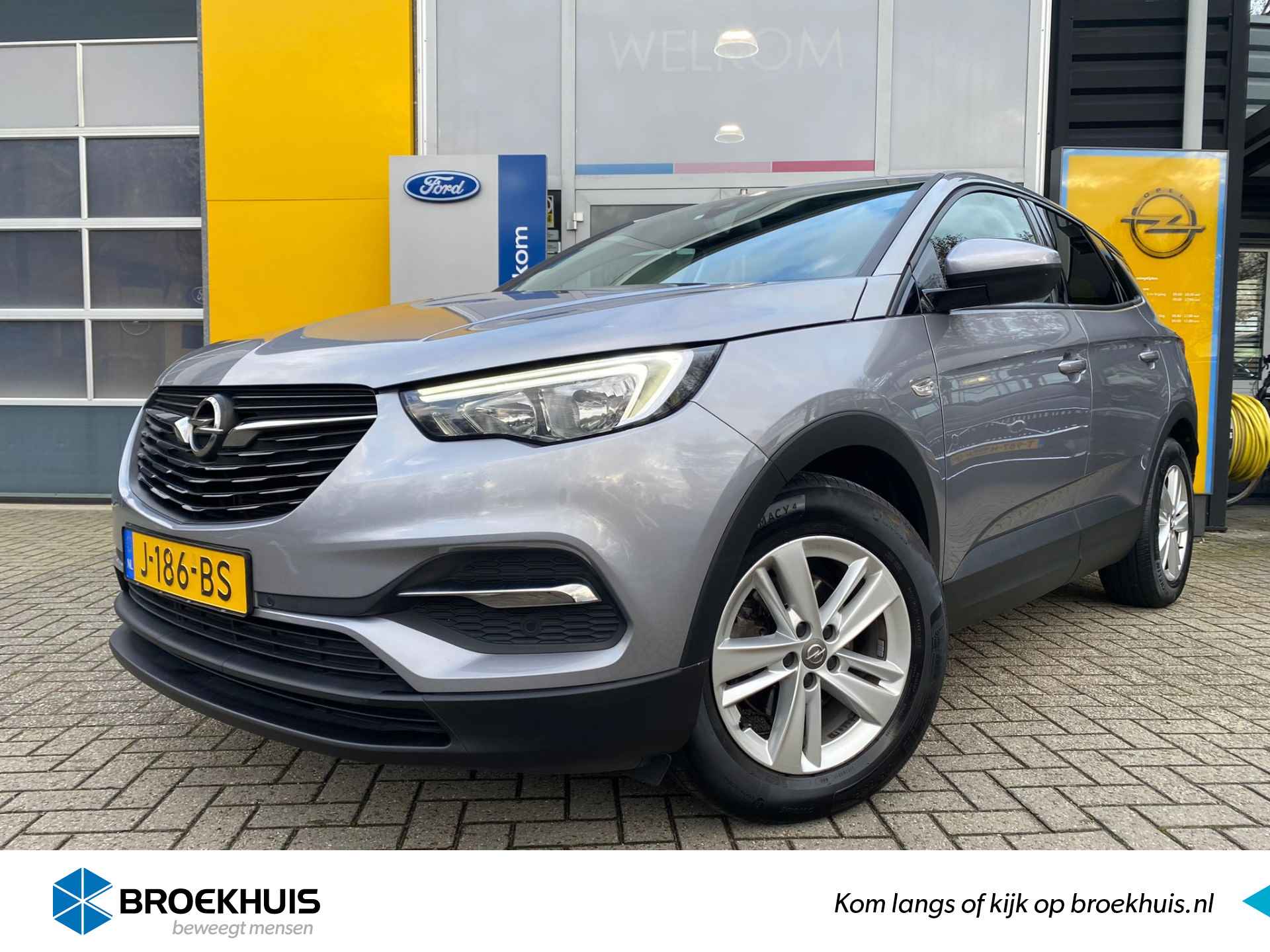 Opel Grandland X BOVAG 40-Puntencheck