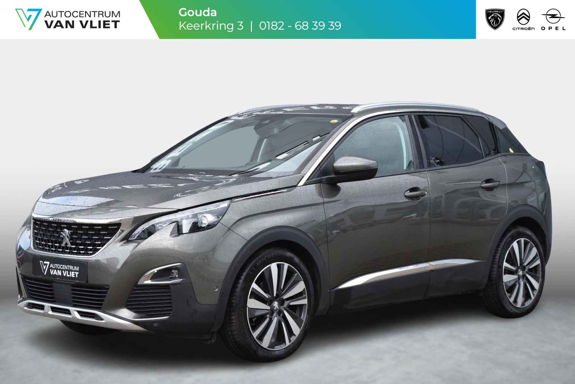 Peugeot 3008 BOVAG 40-Puntencheck