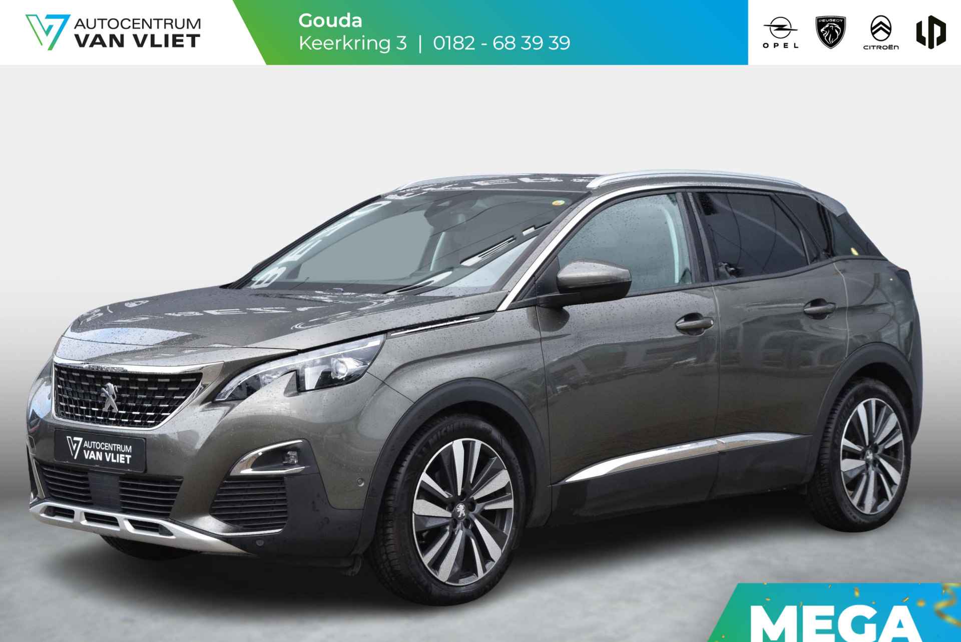 Peugeot 3008 BOVAG 40-Puntencheck