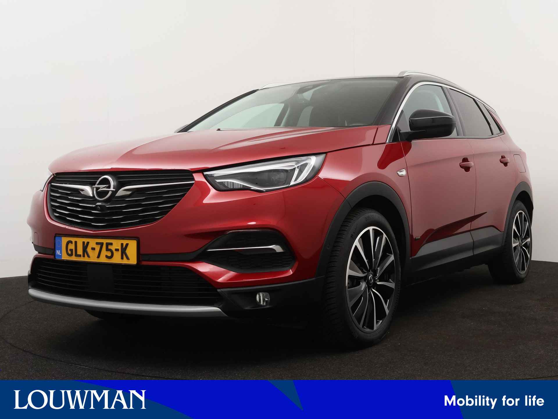 Opel Grandland X BOVAG 40-Puntencheck