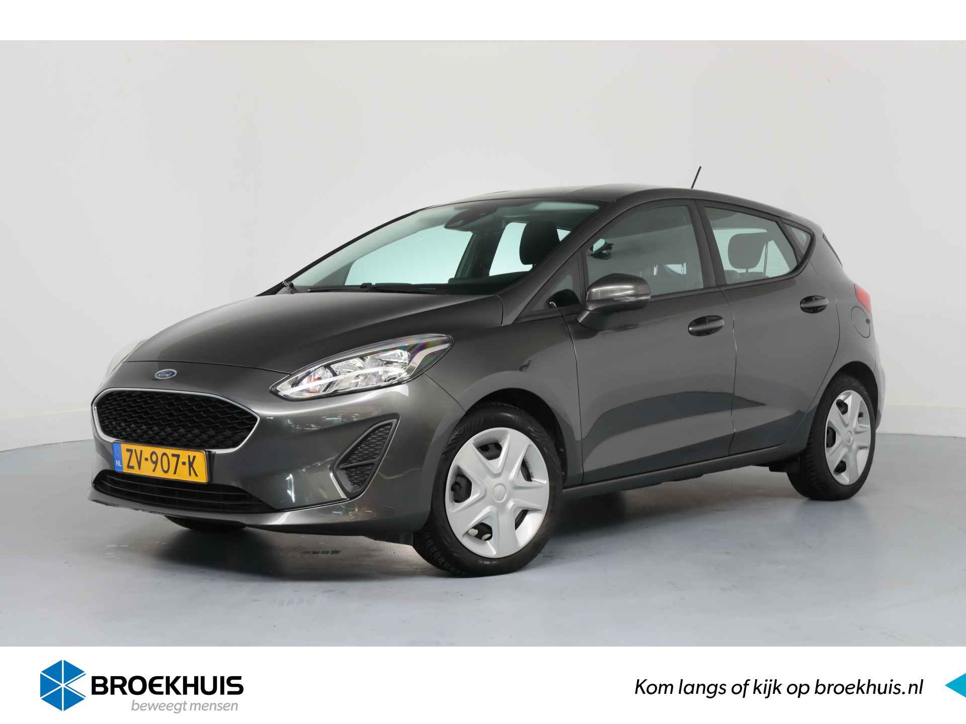 Ford Fiesta BOVAG 40-Puntencheck