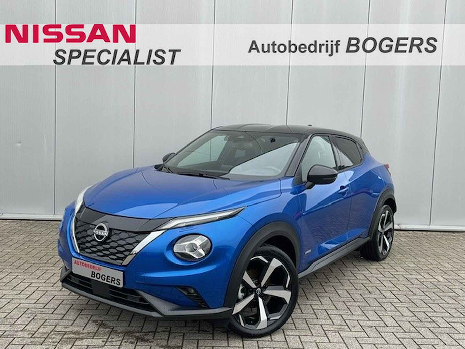 Nissan Juke BOVAG 40-Puntencheck