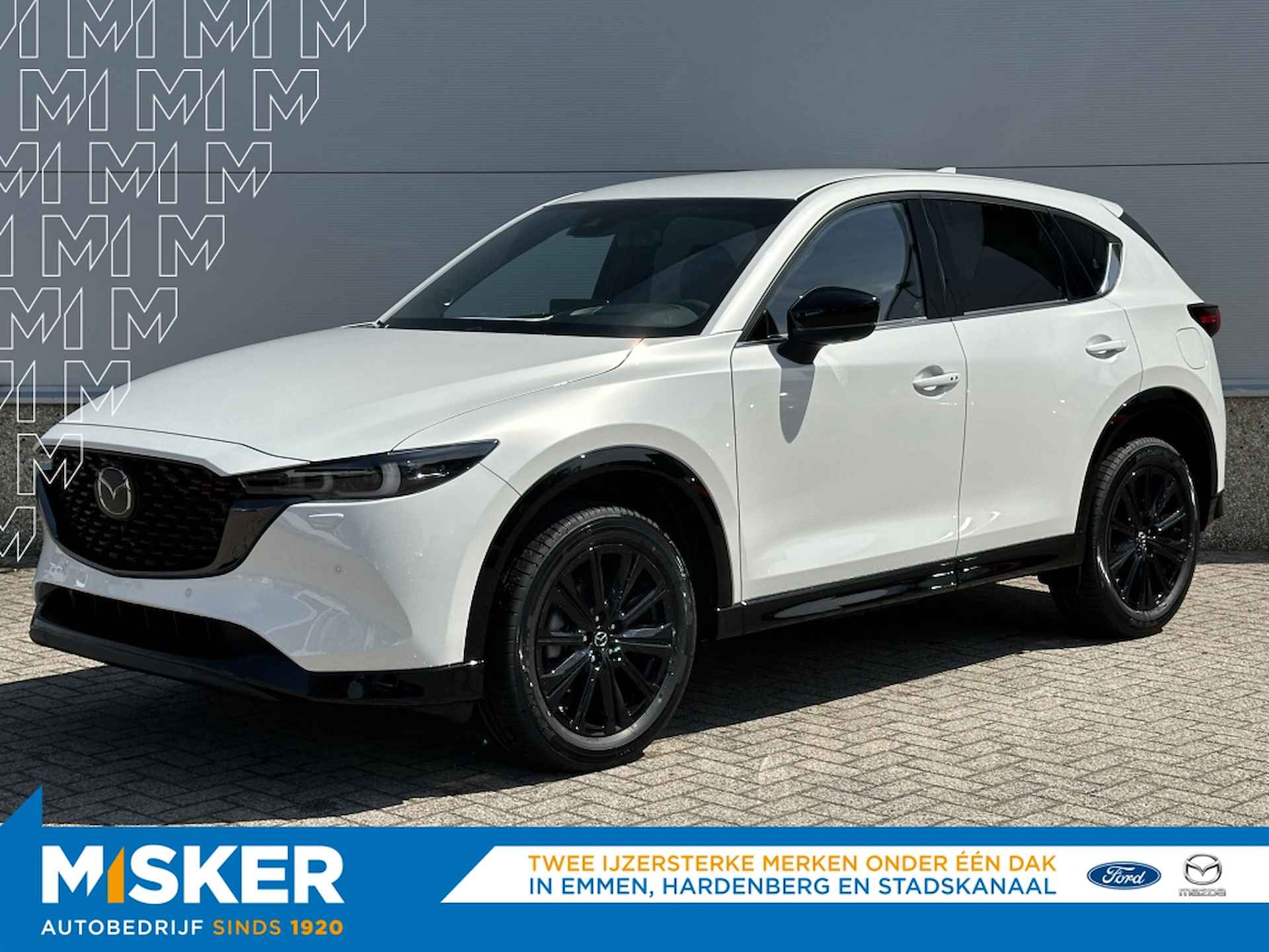 Mazda CX-5 BOVAG 40-Puntencheck