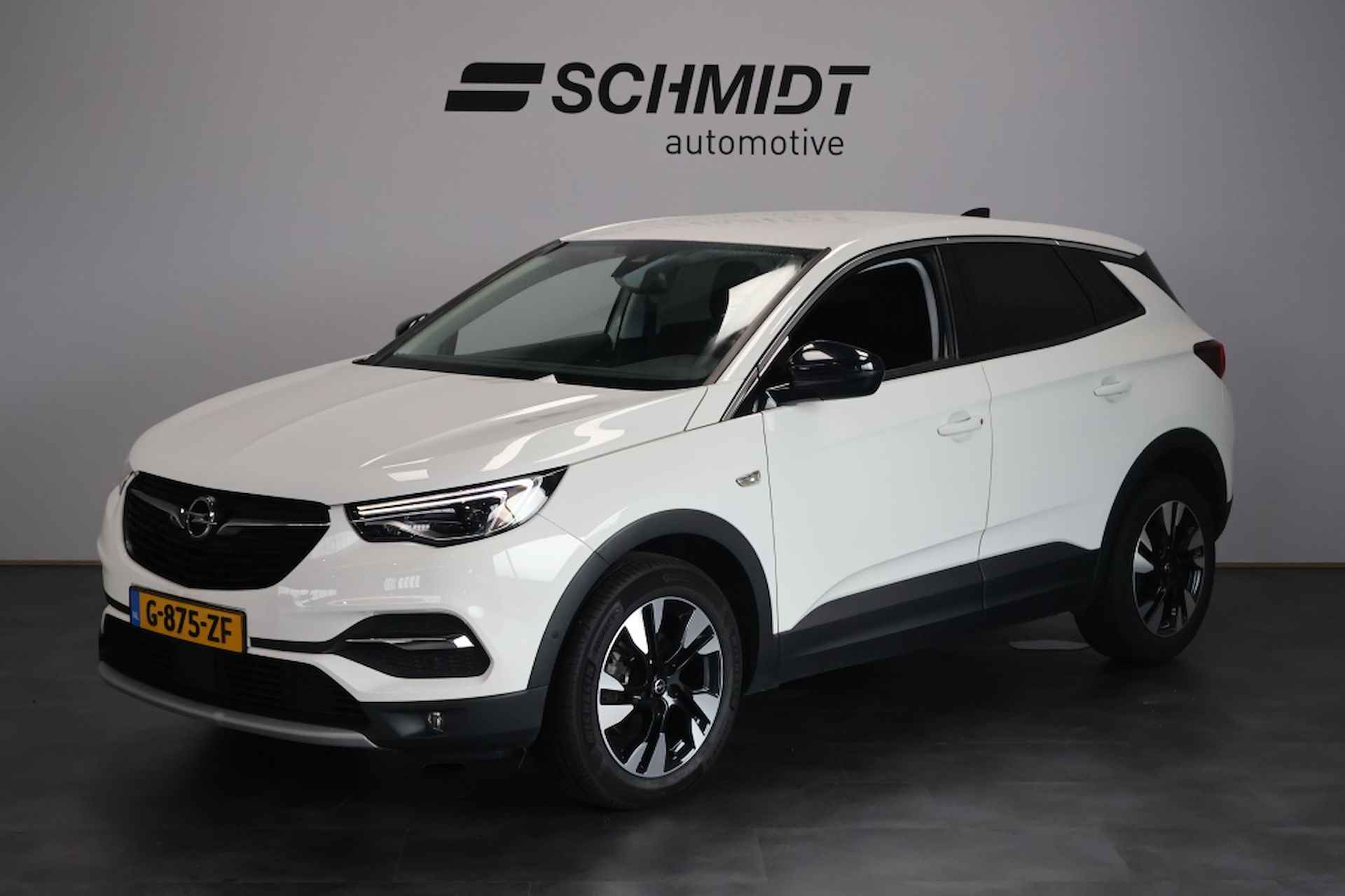 Opel Grandland X BOVAG 40-Puntencheck