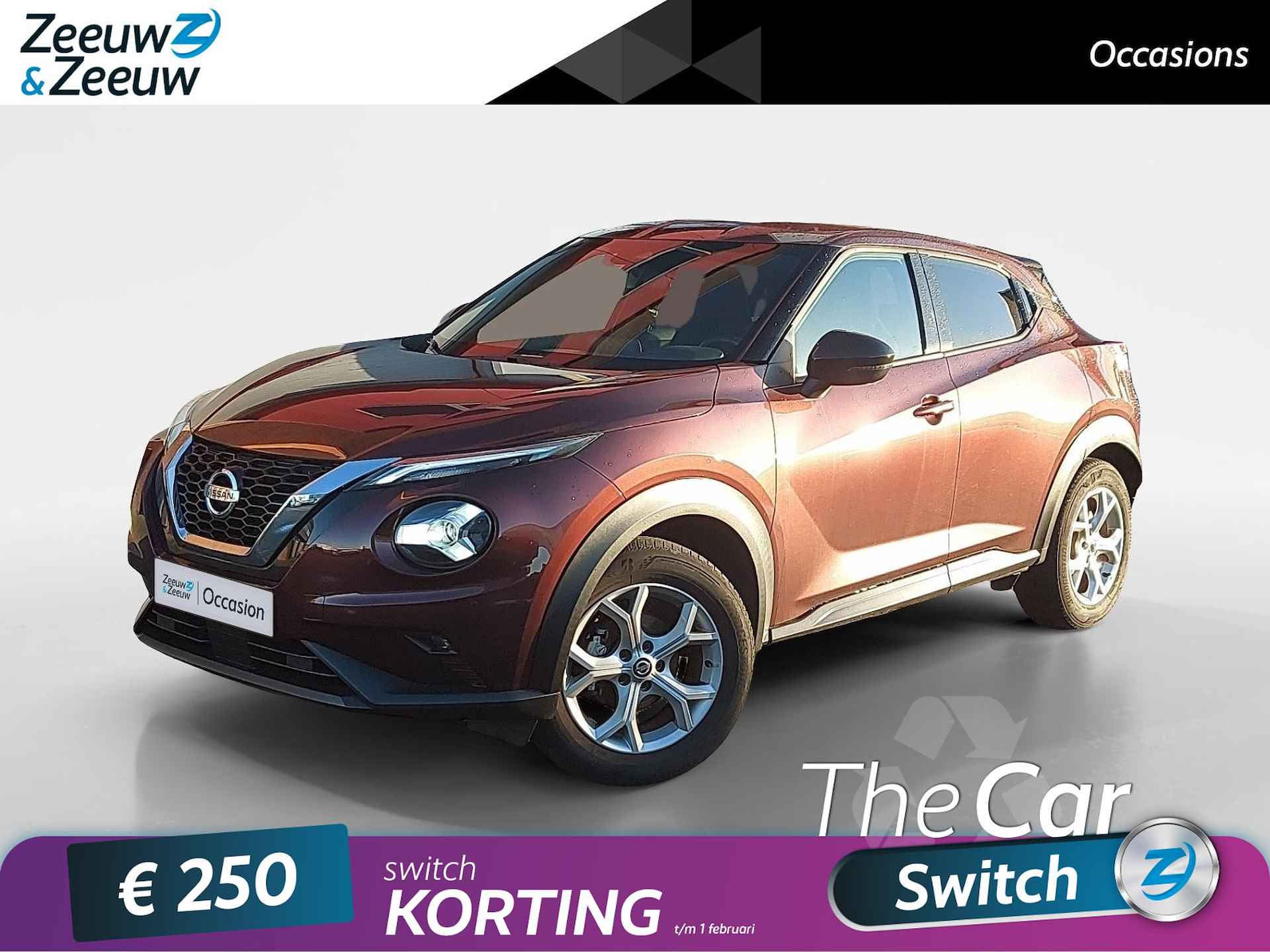 Nissan Juke BOVAG 40-Puntencheck