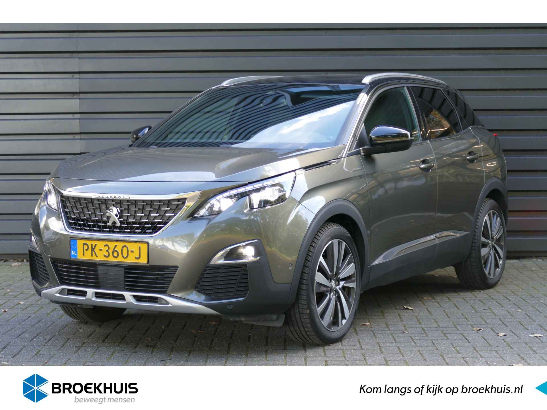 Peugeot 3008 BOVAG 40-Puntencheck