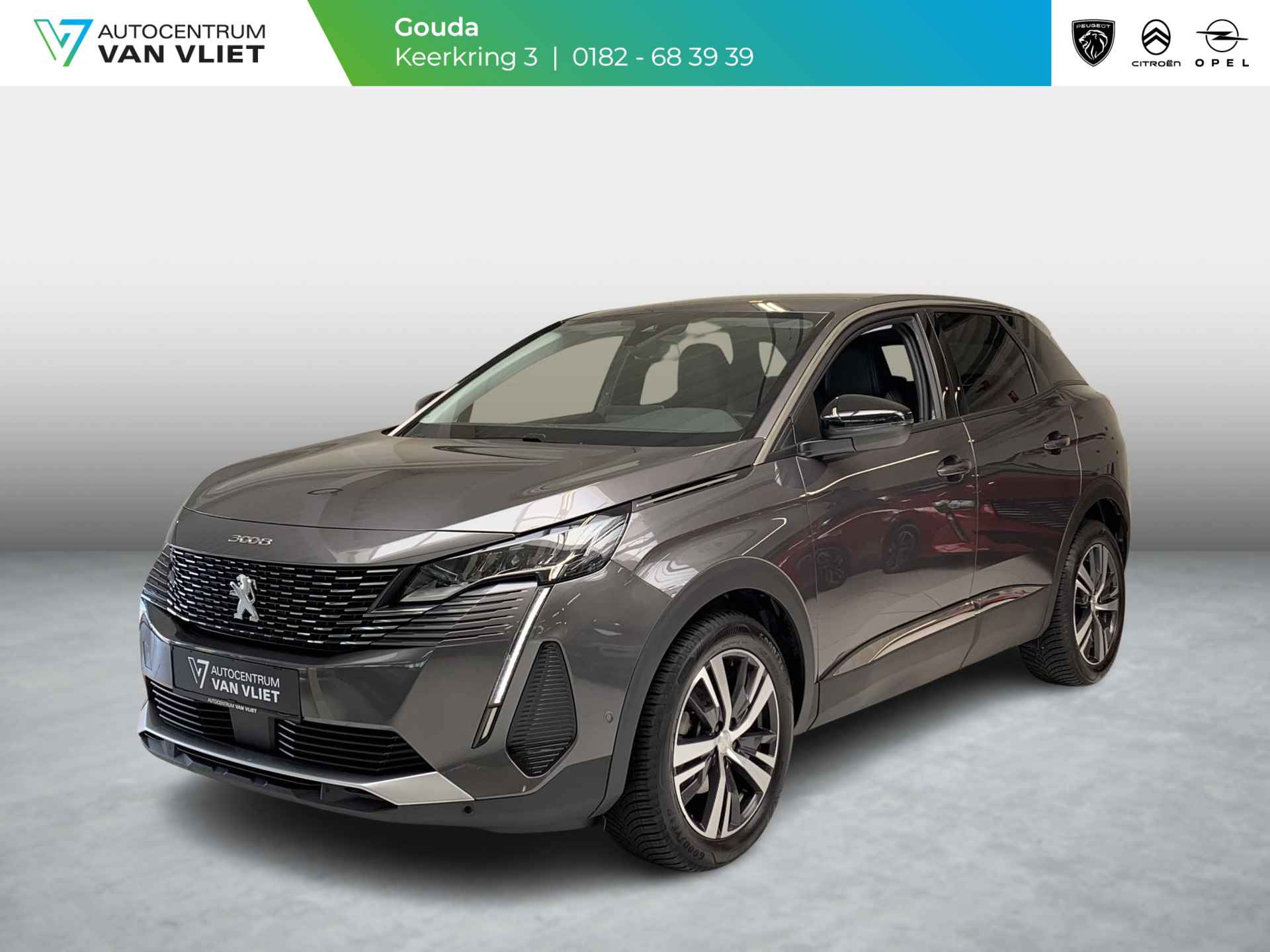 Peugeot 3008 BOVAG 40-Puntencheck